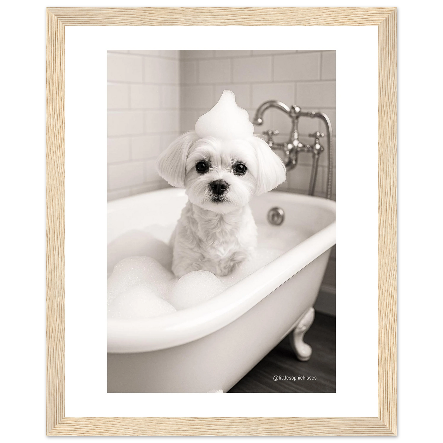 c8676161-de78-4dbf-afed-d6a0882702b7