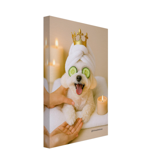 cb51361e-6e64-445c-9fc3-baad9b51976e