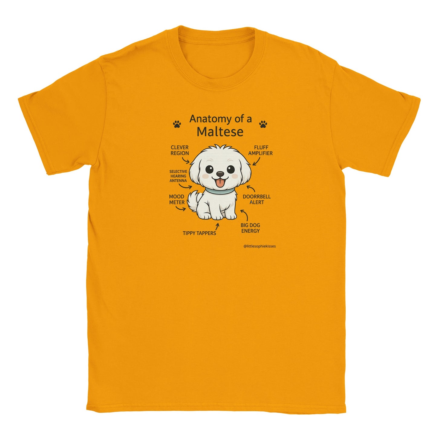 cfe10bb2-02a6-4b89-bcb3-f626b4543264