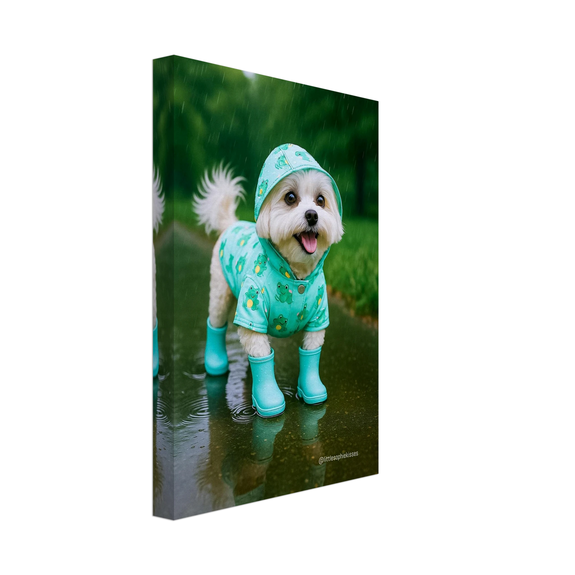 d0f7d110-29f9-42f8-8f2b-df12f78f2447