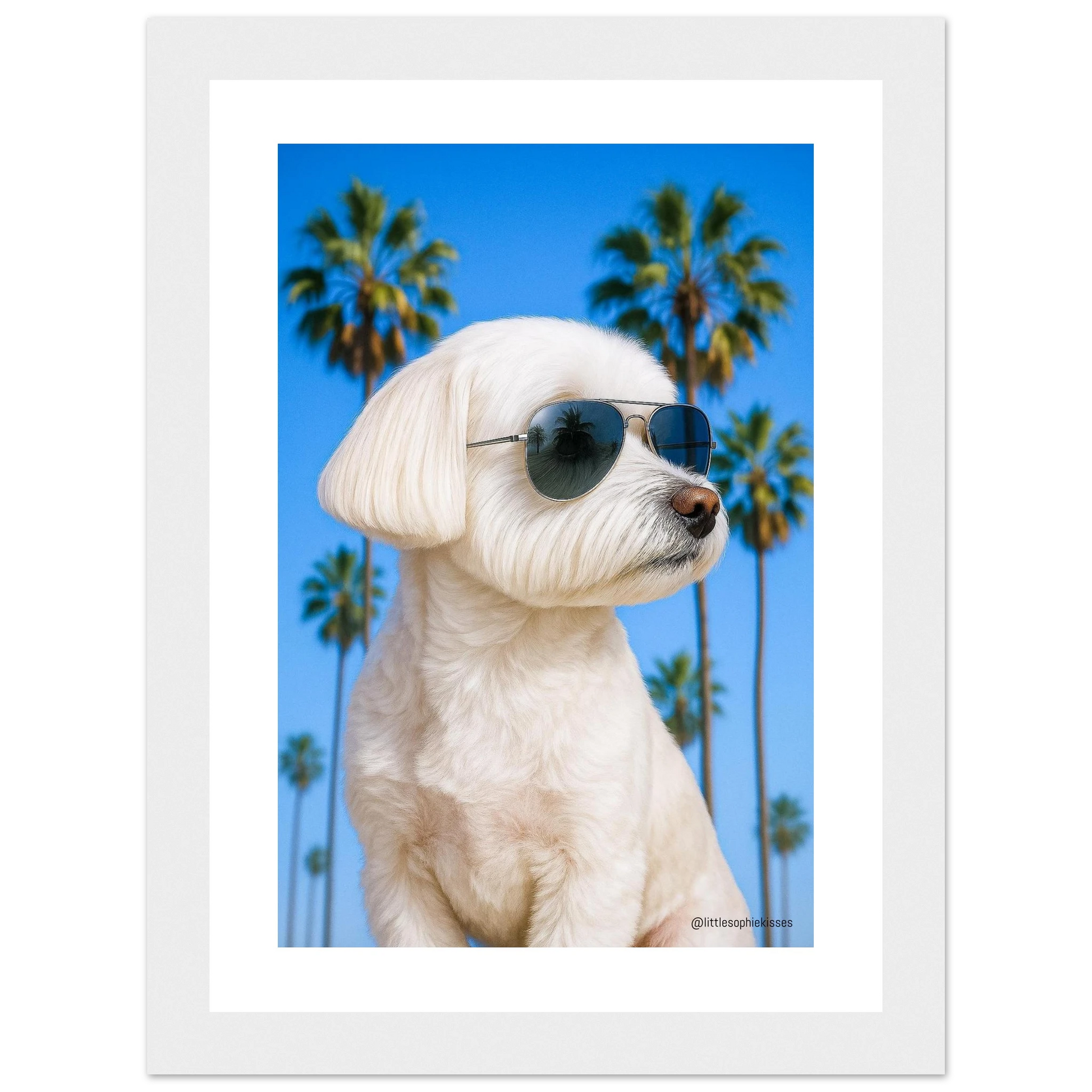 d3f00556-e492-4056-9ae9-d654495ef437