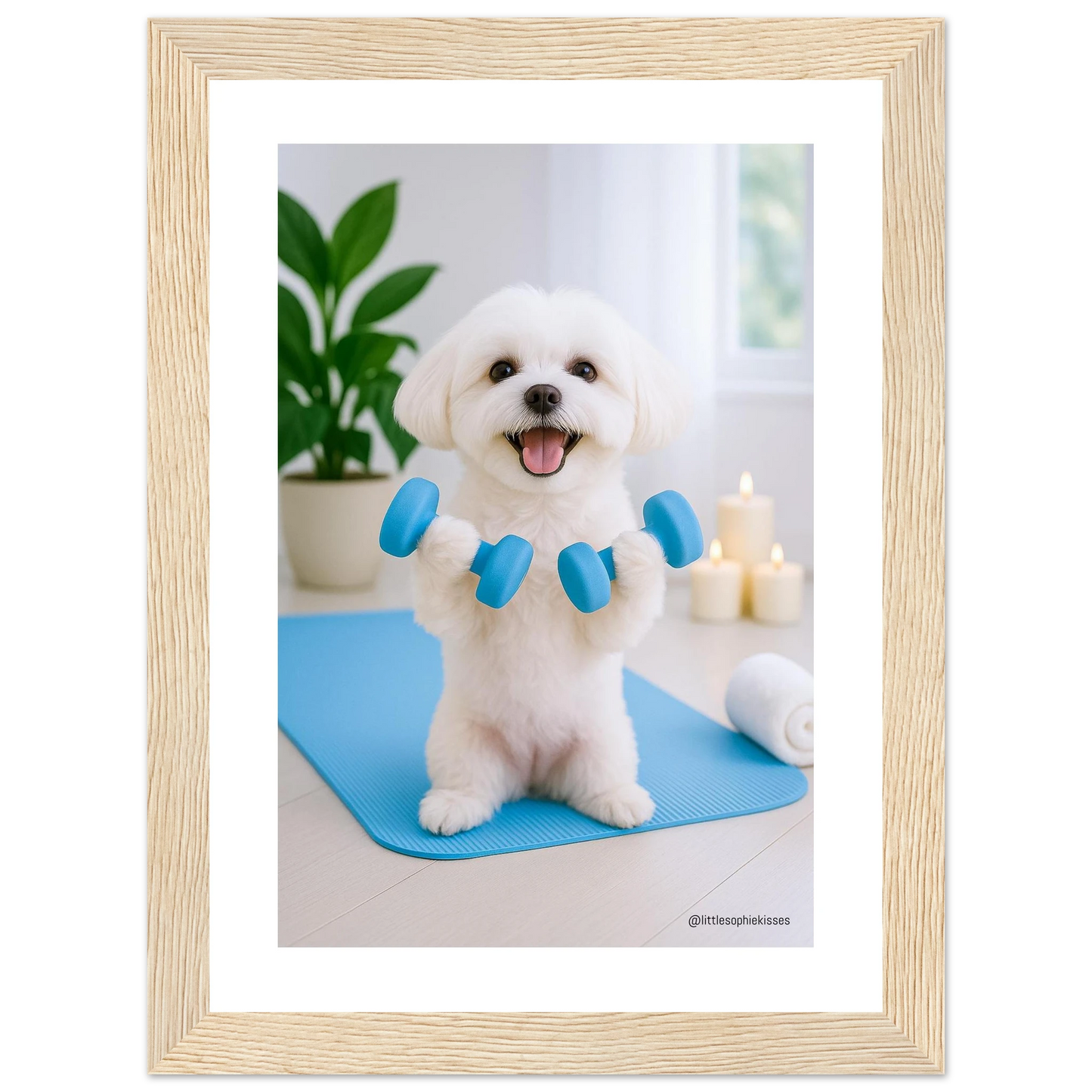 d74d7251-895c-43f0-bcb9-017640f1aeb2