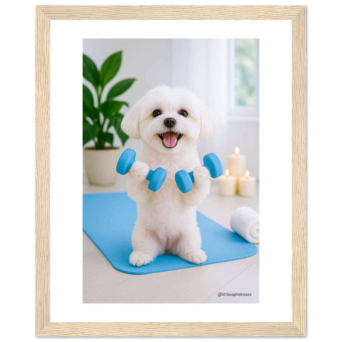 d9d0257b-b5b9-49ab-a215-fc01bcc56625