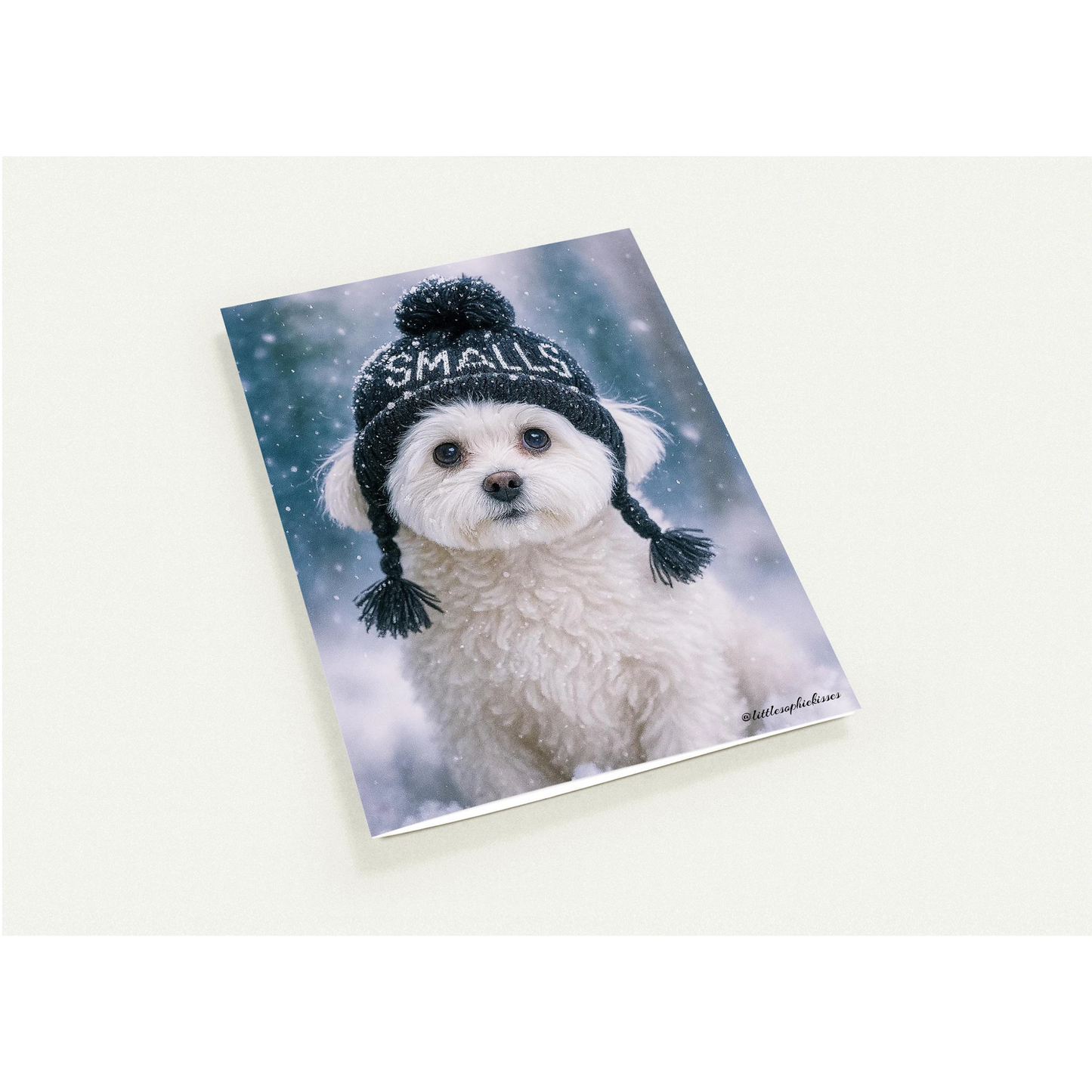 e06ac843-63f7-4e1c-b175-4258a3af2b1d