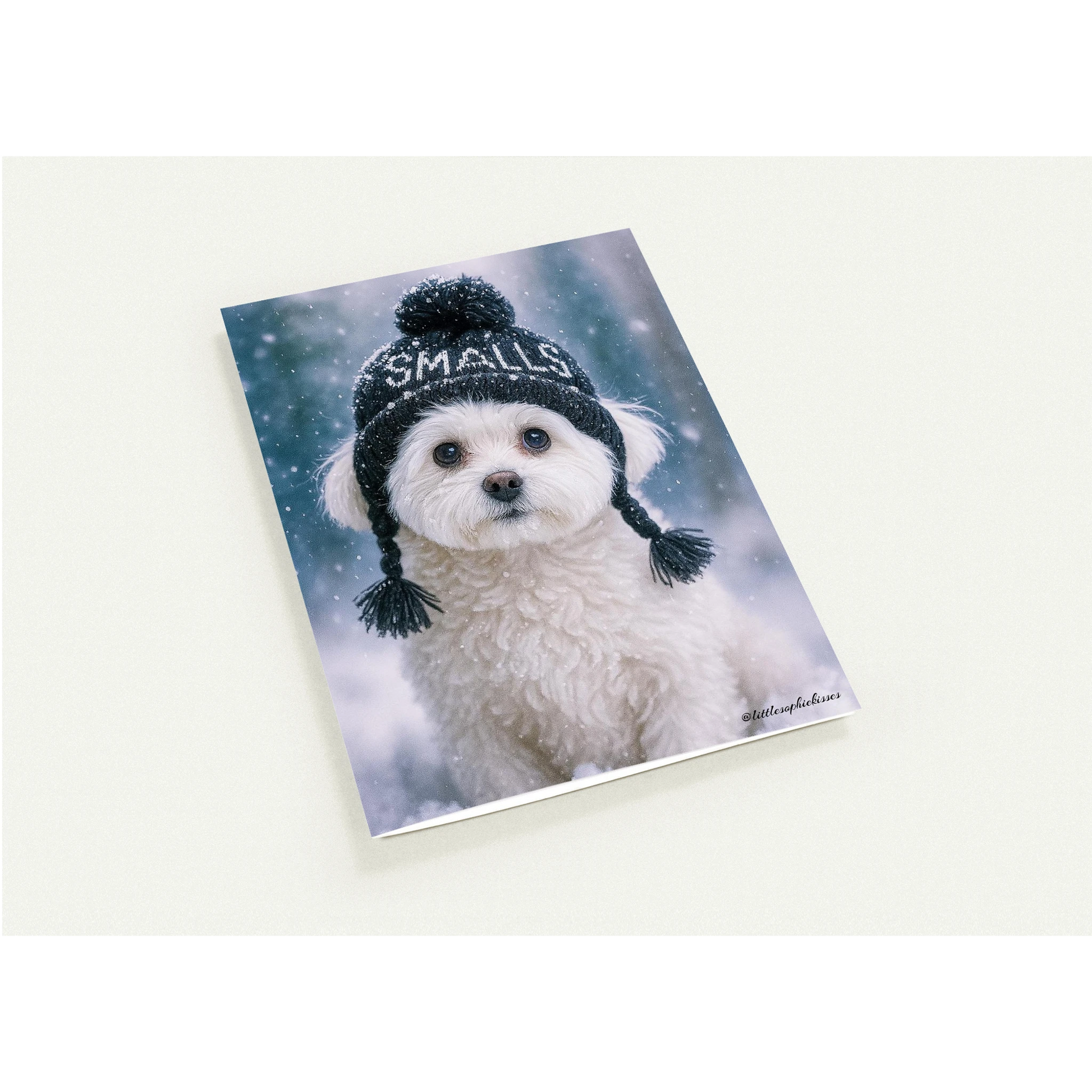 e06ac843-63f7-4e1c-b175-4258a3af2b1d