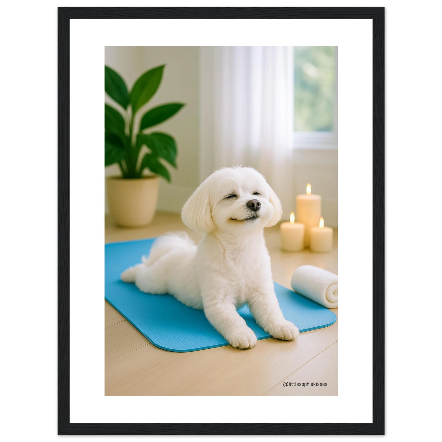 e4934dab-1101-4902-b7d7-23dc572878db