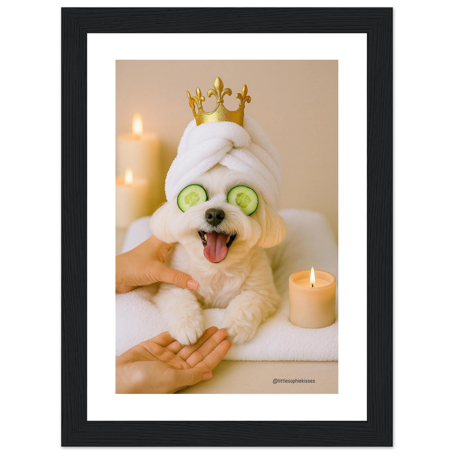 e5ad9e68-8bb2-45c3-bfef-734009e1ea78