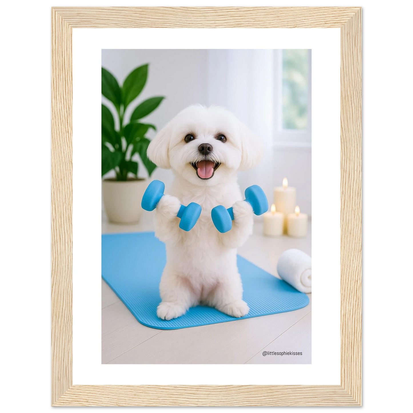 ed47b9f5-4af1-44e4-99c1-f96baf8cb094