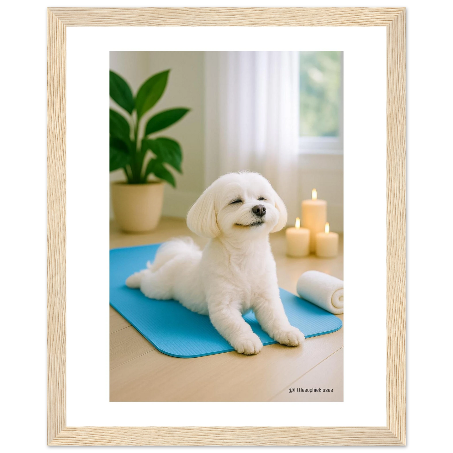 ee04224a-d938-47eb-9709-c86814271bc4