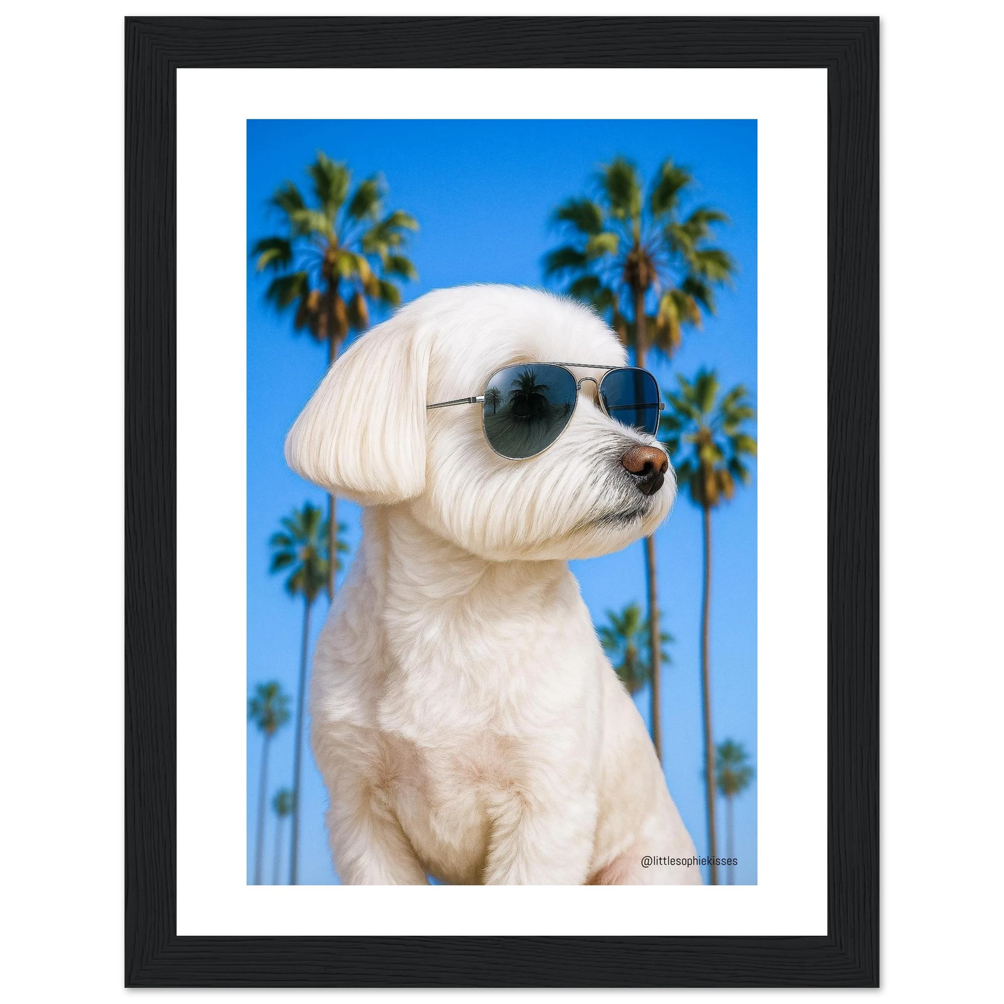 fa2e2989-6eb6-42a2-a4cf-cedbea5eab09