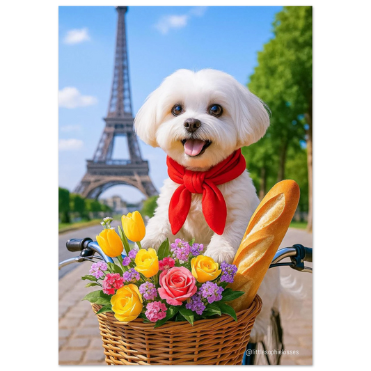 ff51e111-f5c5-417b-8428-4d3687545754