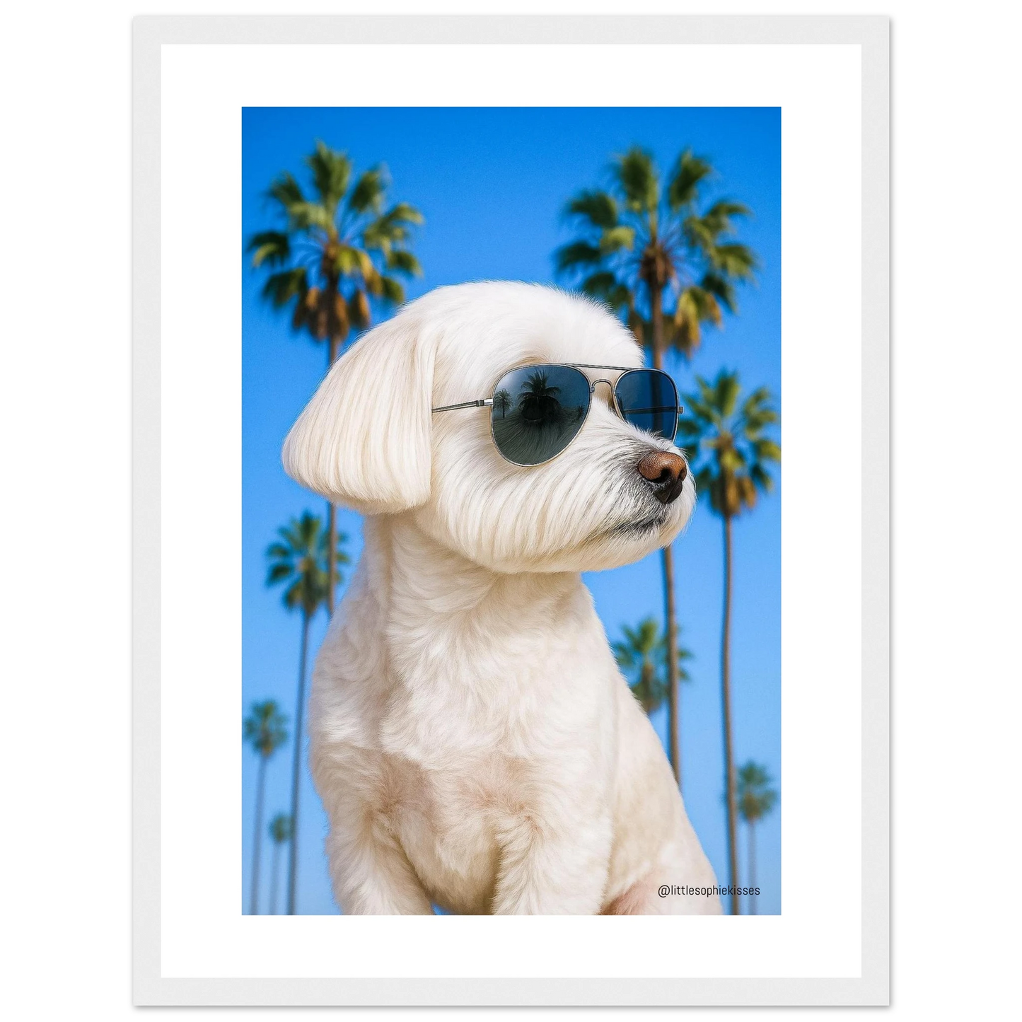 002c65d9-07fd-4d49-aa39-fe741c6a6ea8