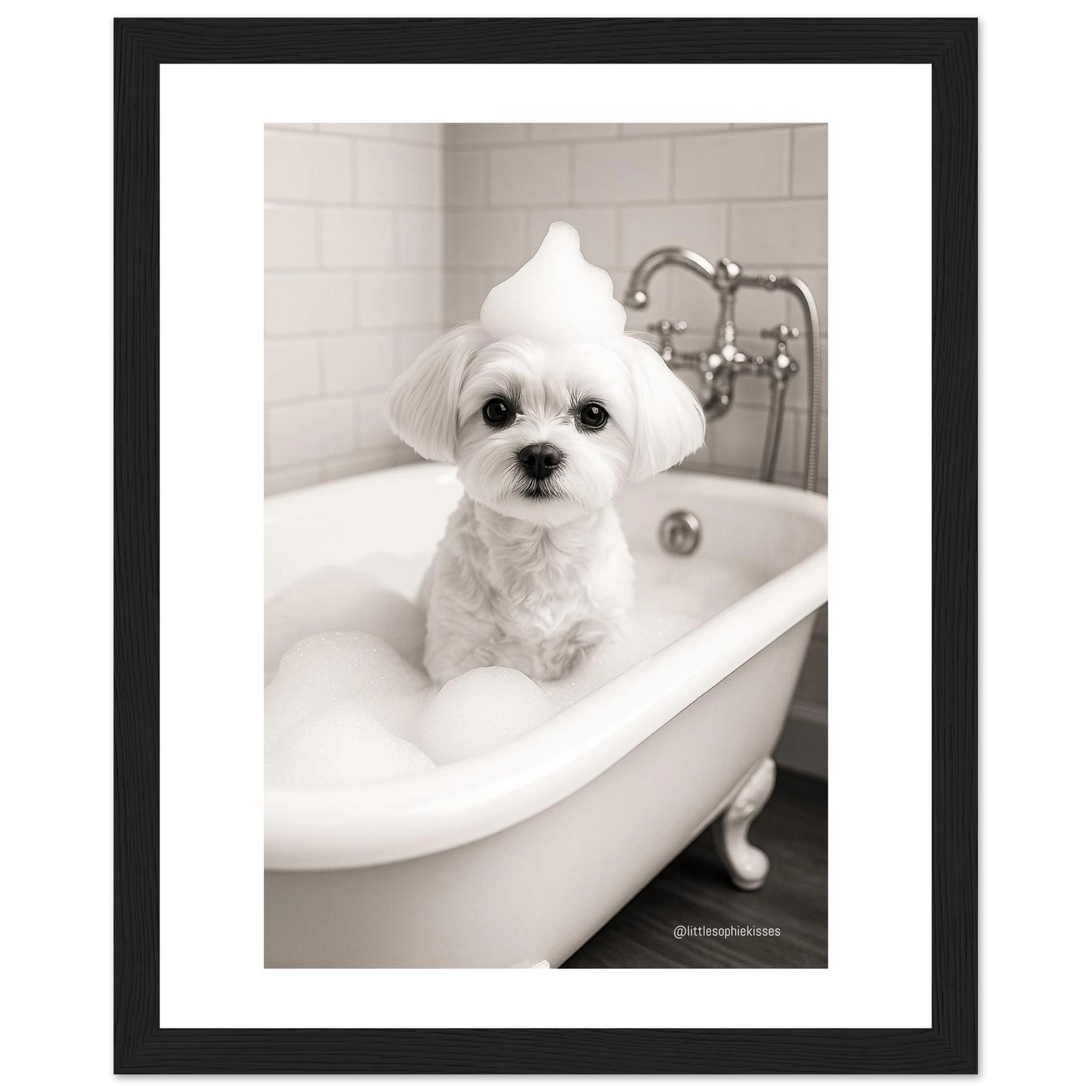 00a3dda0-7d6a-4fa4-8b5d-e4cd0f73d3fa