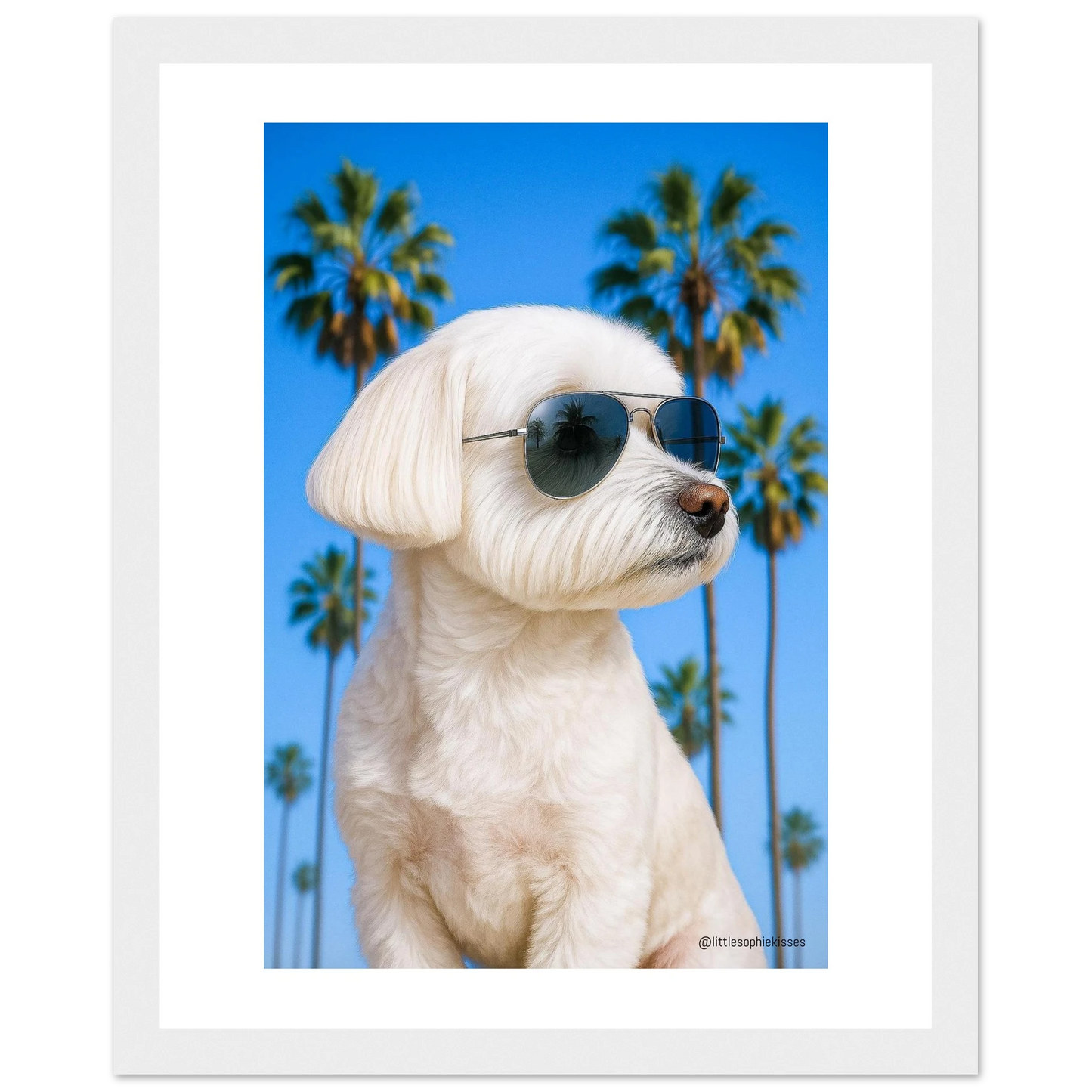 0154b932-3804-4998-a9b1-328da368d10f