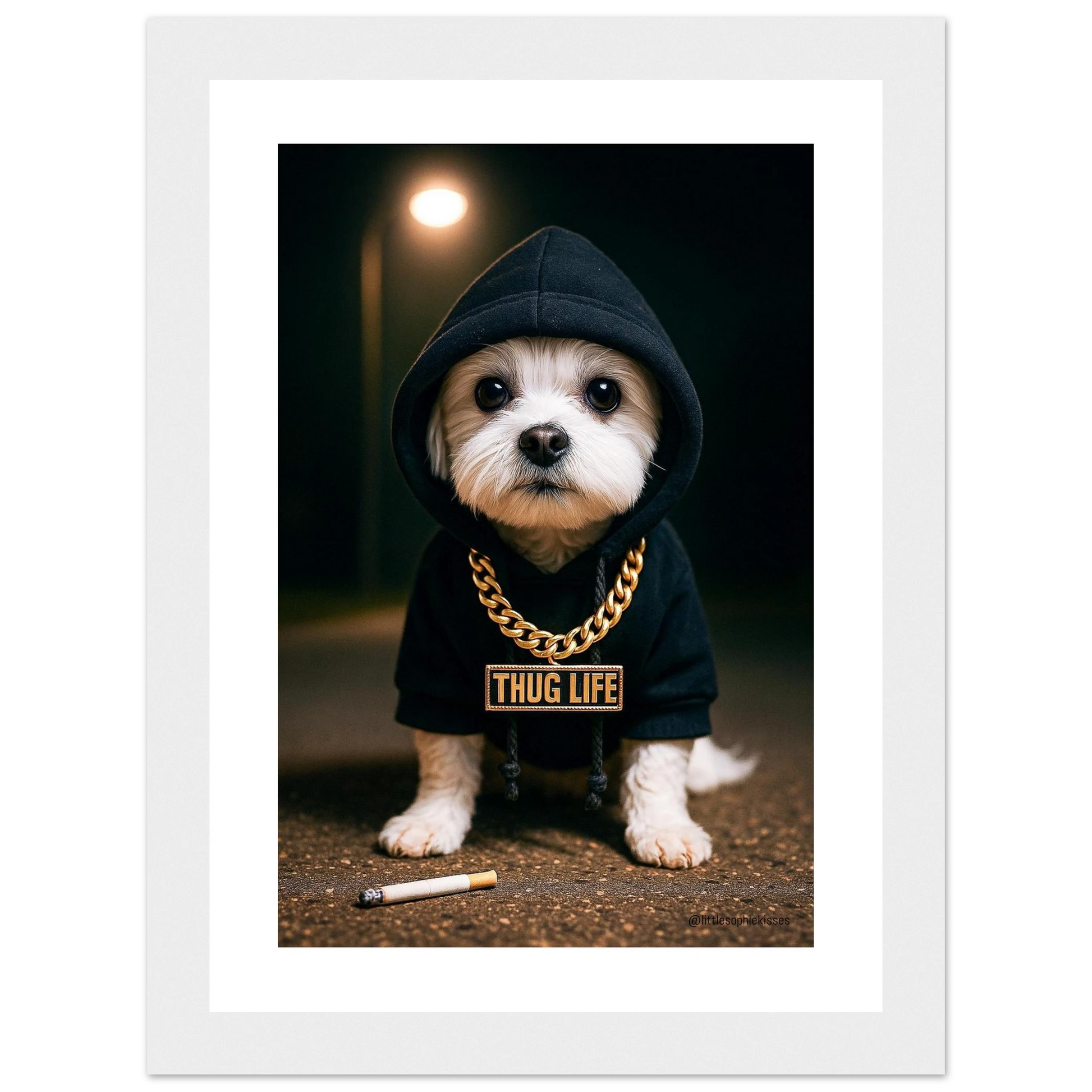 04525b8b-419b-4e8e-8ff5-ce417e58b0fb