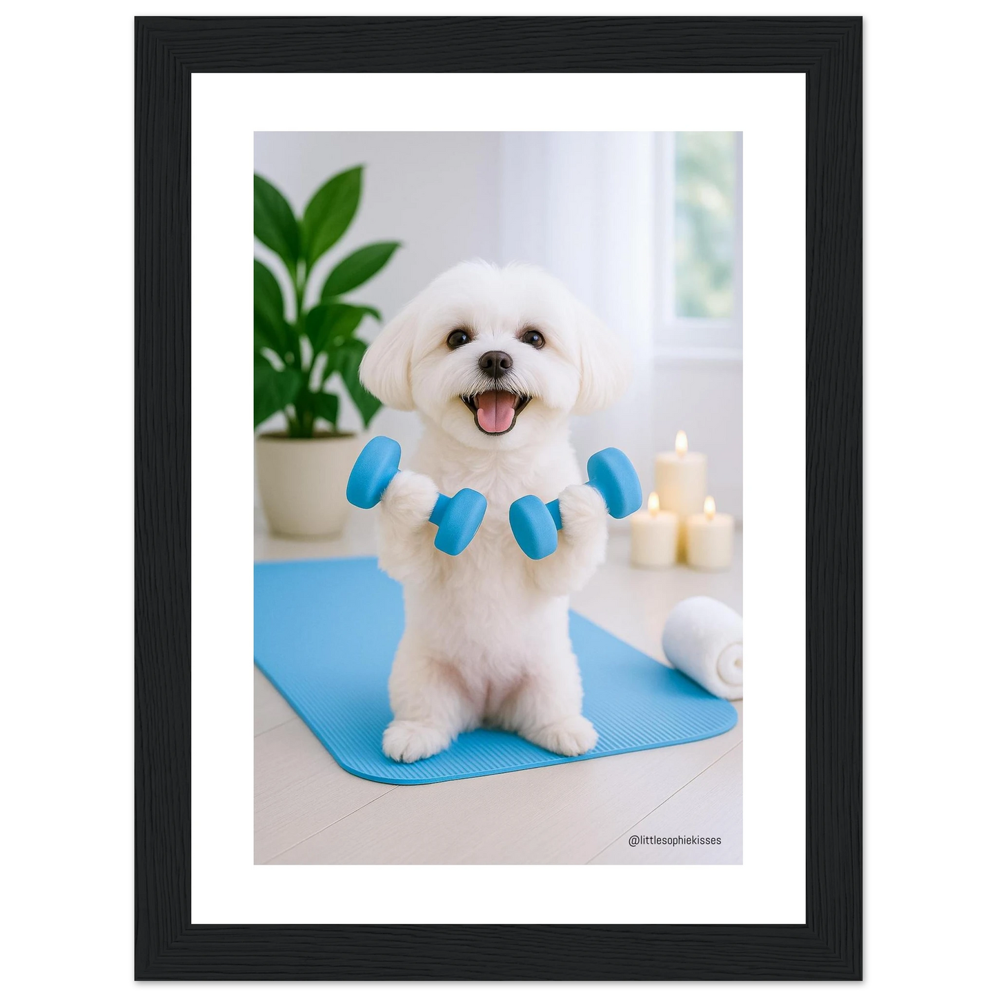 05652bbc-41ef-4dc7-acf4-c3f96438d7b8