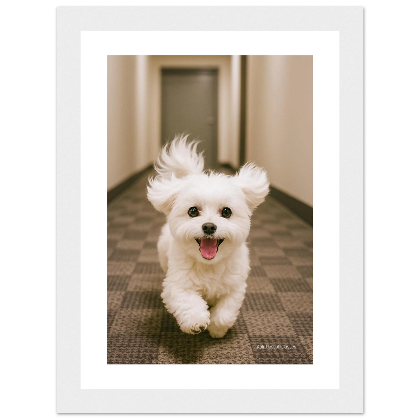 056e8631-aa2e-4393-851e-04596ef64f66