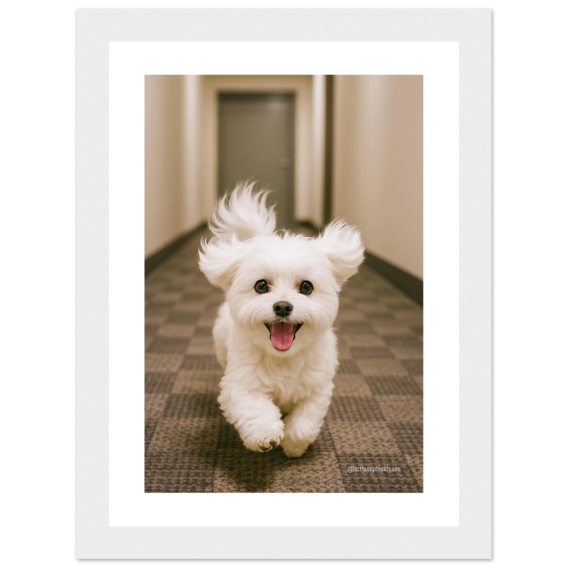 056e8631-aa2e-4393-851e-04596ef64f66