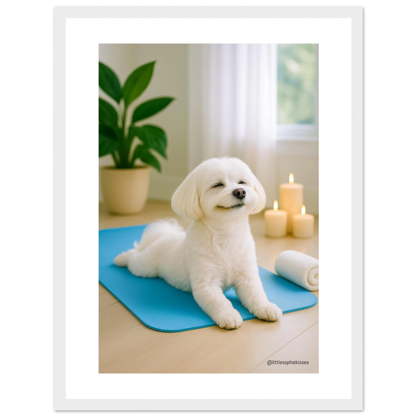 07bd62c6-d26e-4661-9e64-6e6e4b1a9929