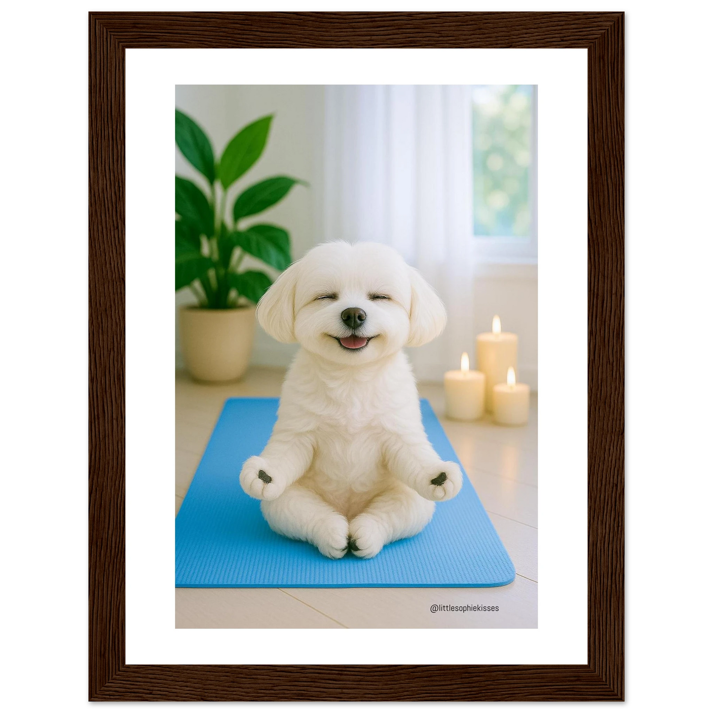 09386e01-adf4-4faf-a1c1-8408faa6341e