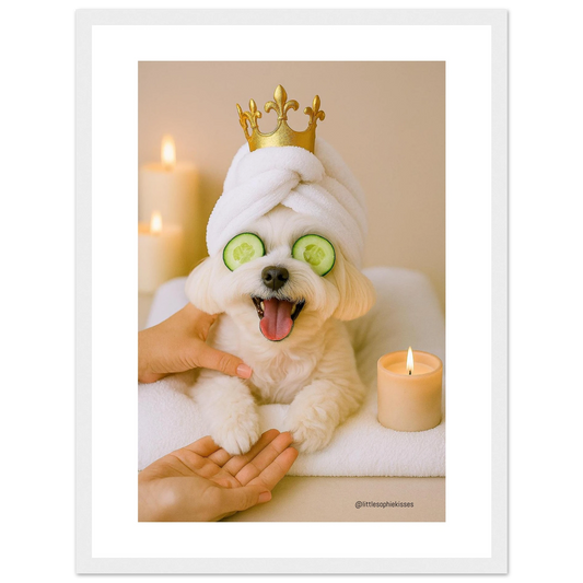 0cbc7fc6-7945-4ad6-9692-65986aa252db