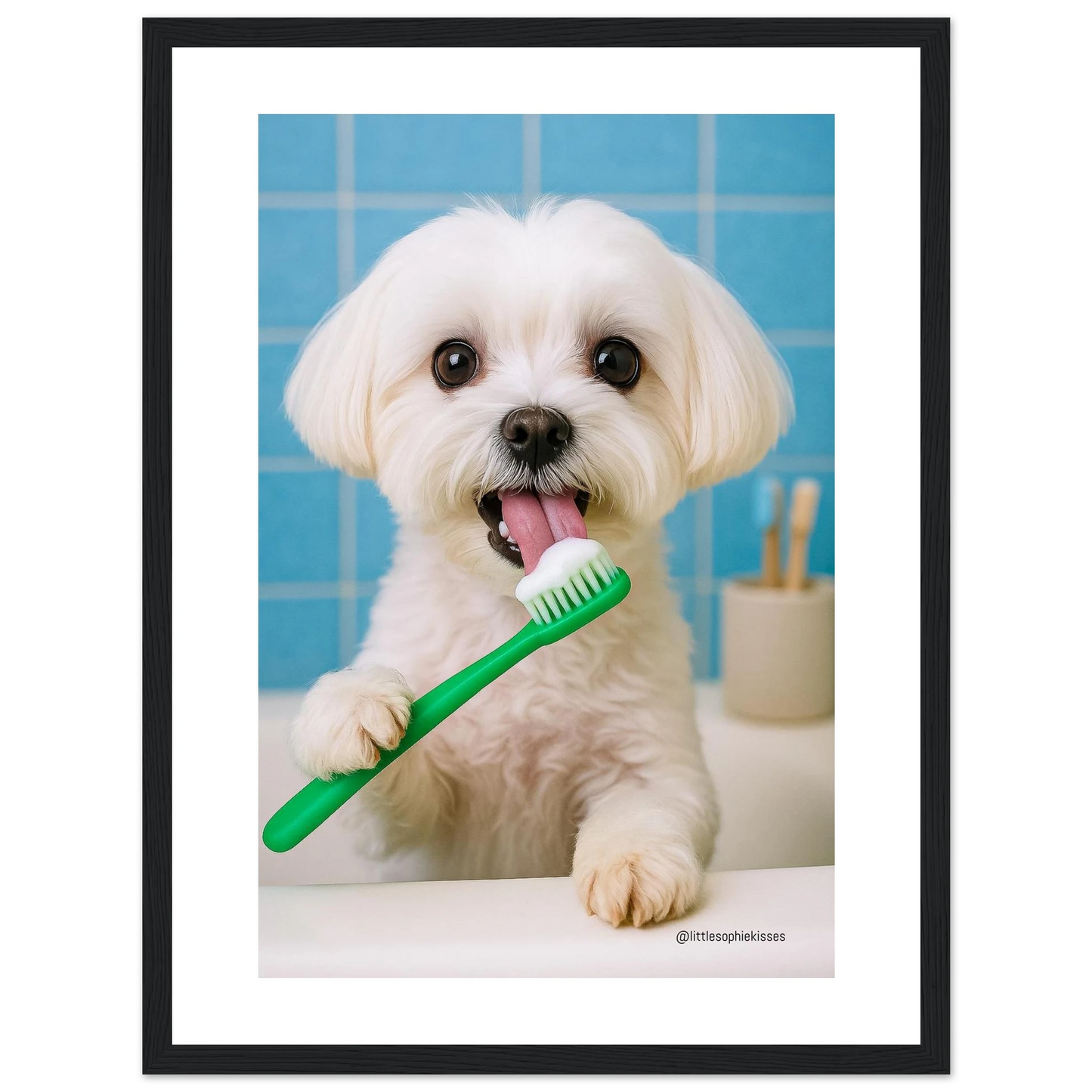 1926bc21-d7ba-47d8-a9b5-b358526d4f6f