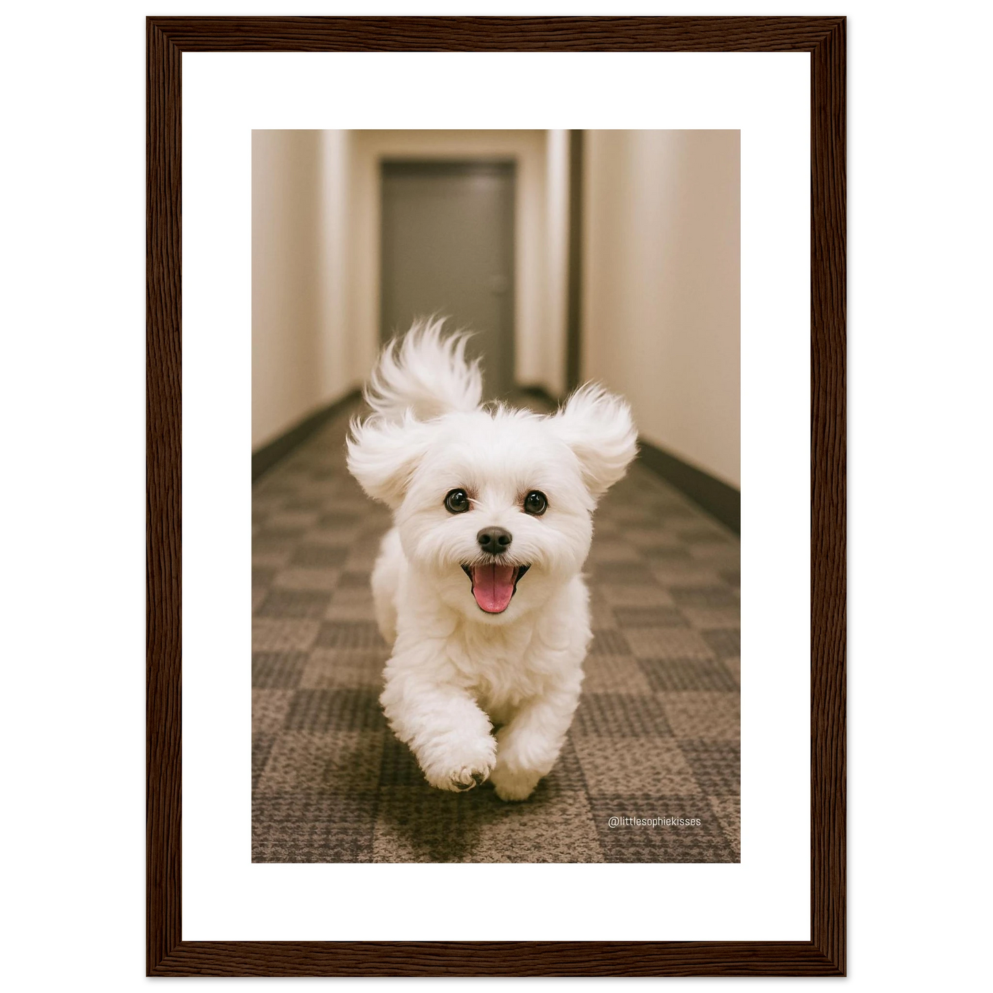 1b31f169-64a6-4493-829f-84df0749d4f9