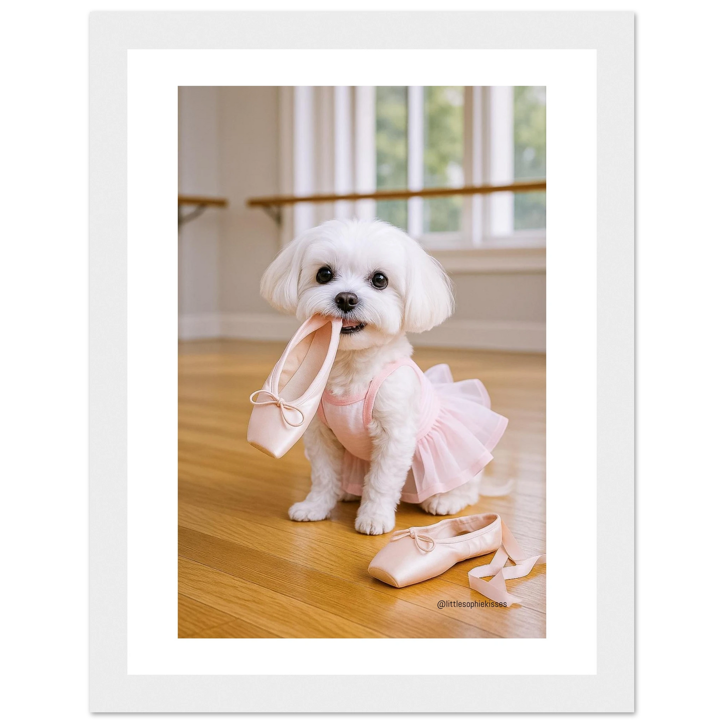 1bffd147-395f-4874-bedd-1dacc2bbc786