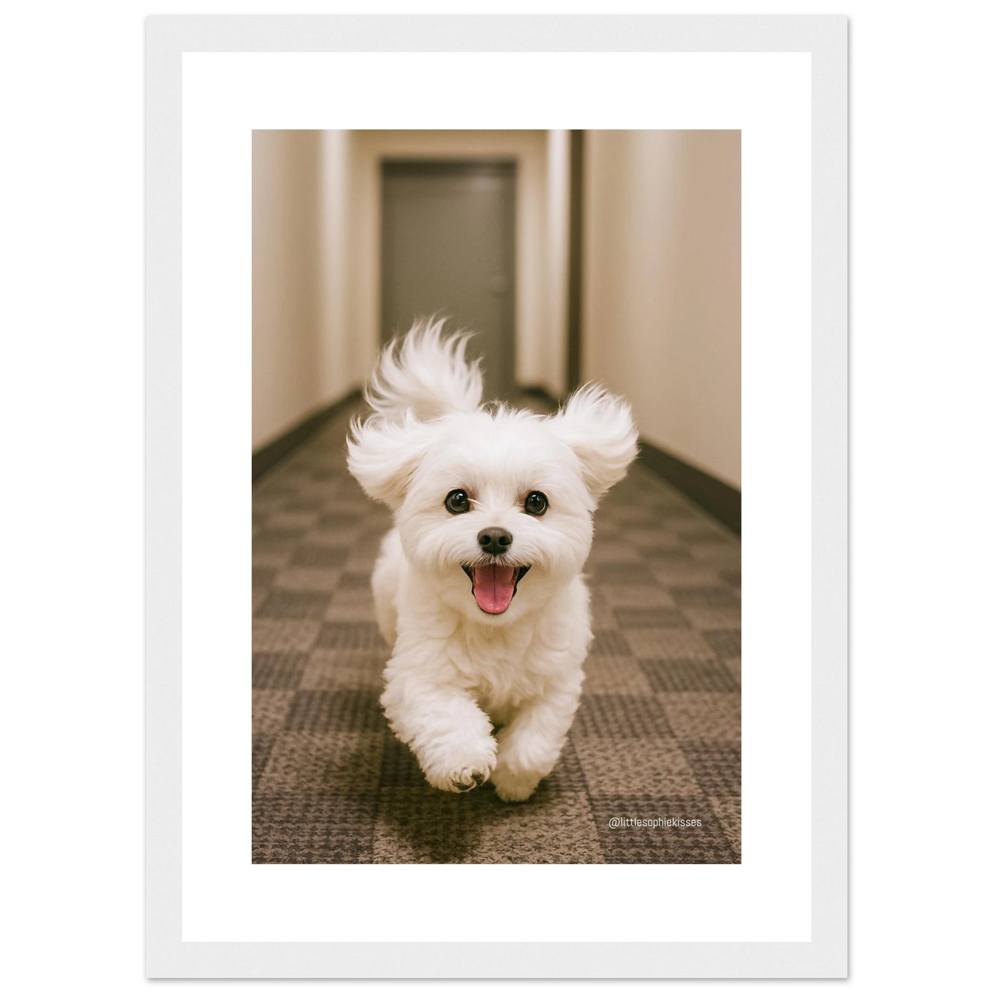 1f5c7bd5-7674-4af7-861c-95677c5f0c43