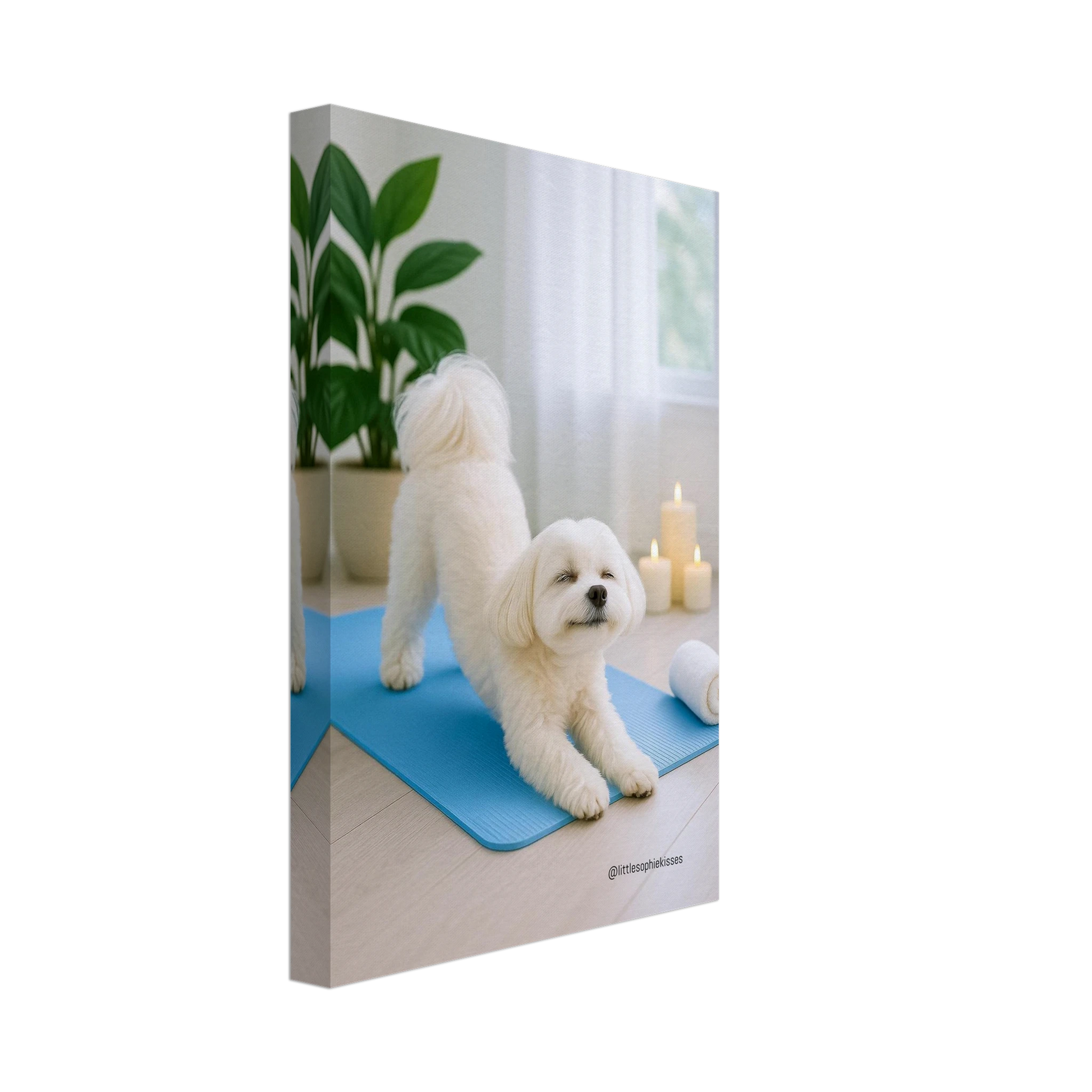 23b7f14c-a616-46de-befd-3be91b56242b