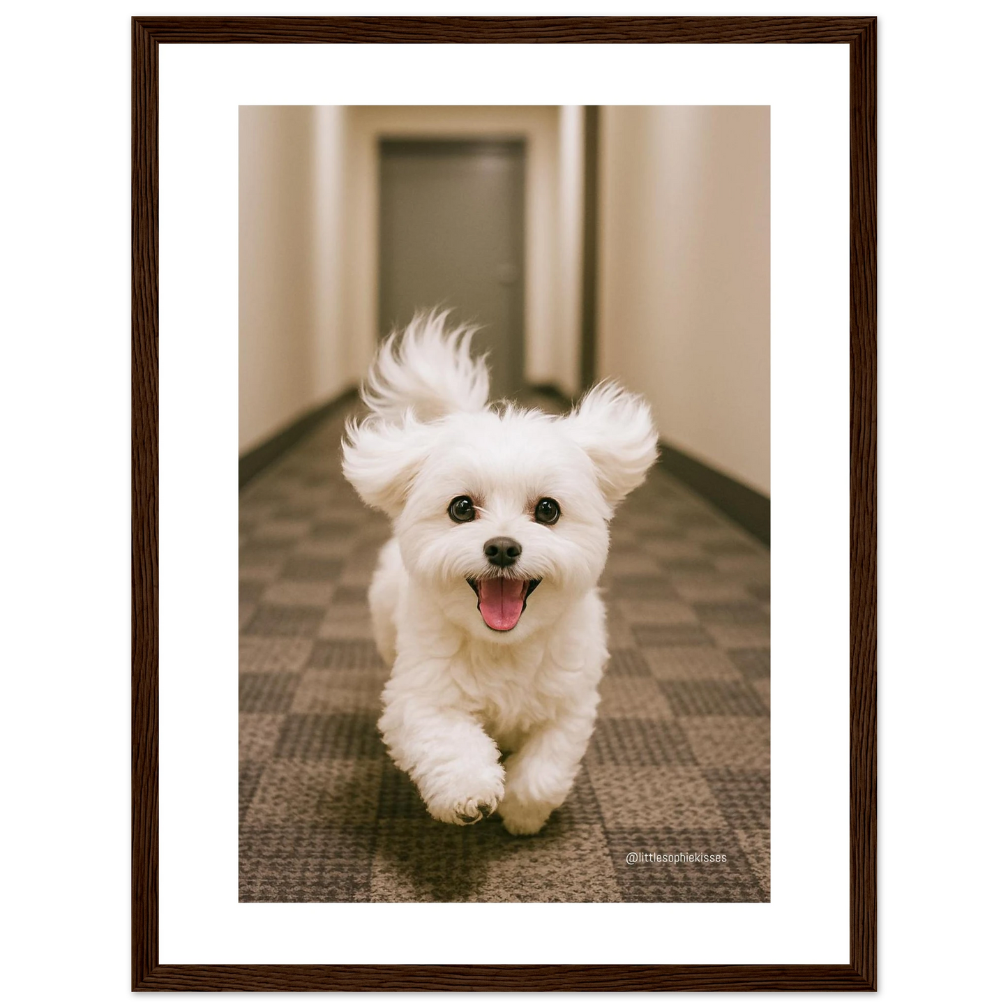 2ddf2156-bb84-401a-b7dd-2aef12584996