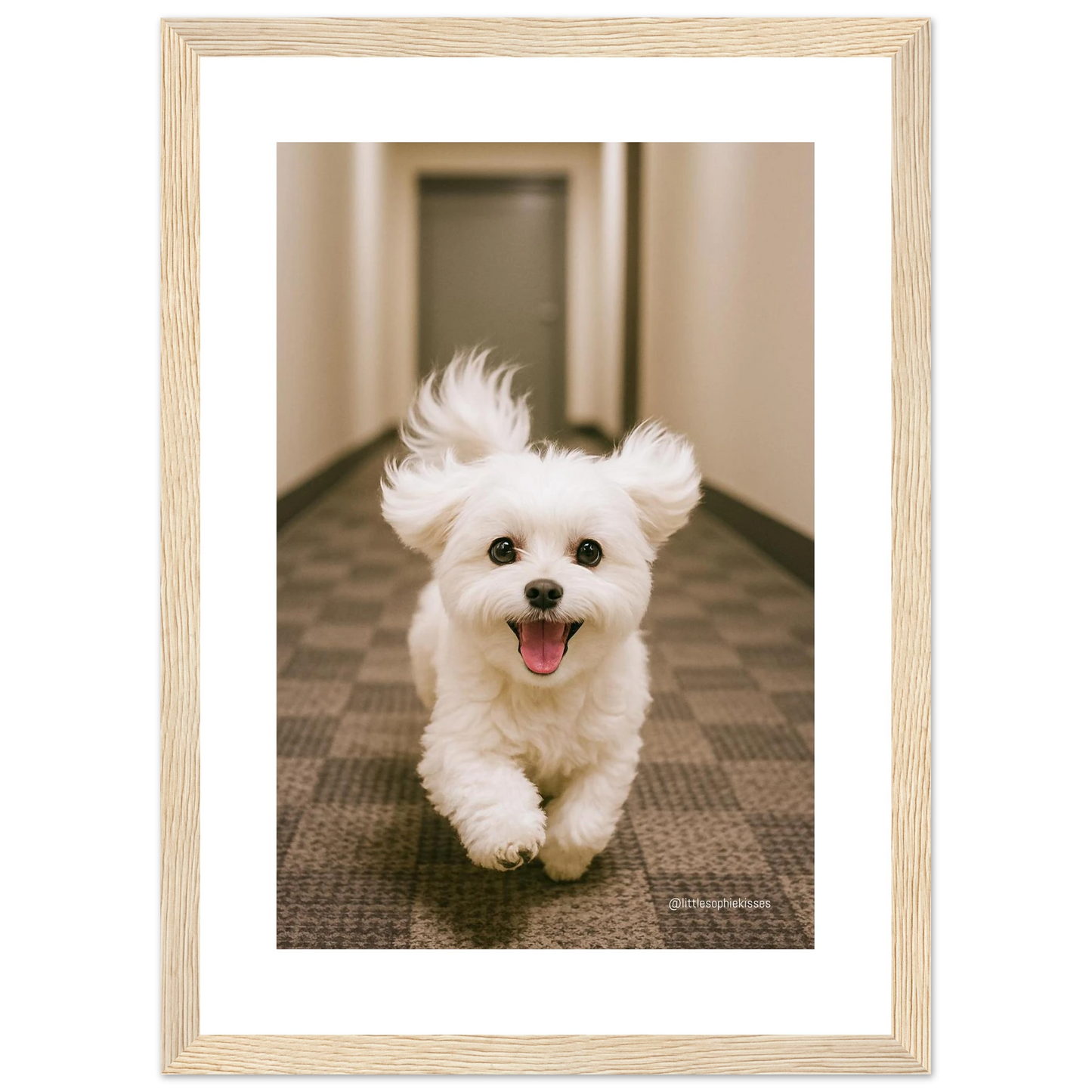 2e00e8b3-29e8-4132-bfb8-422dcc77a83f