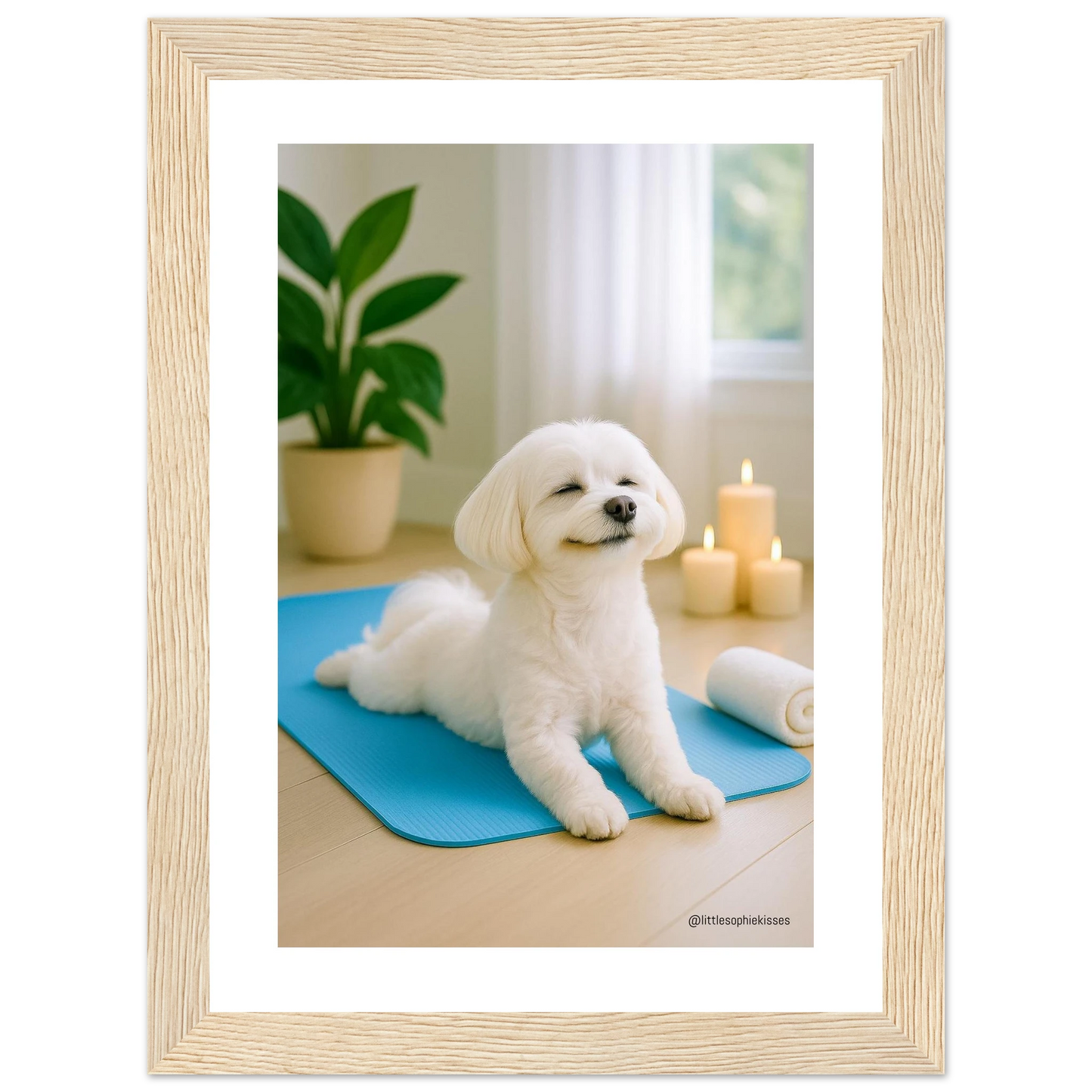 2e74a3aa-c45f-4ec0-bf4e-a89e2baf9fec