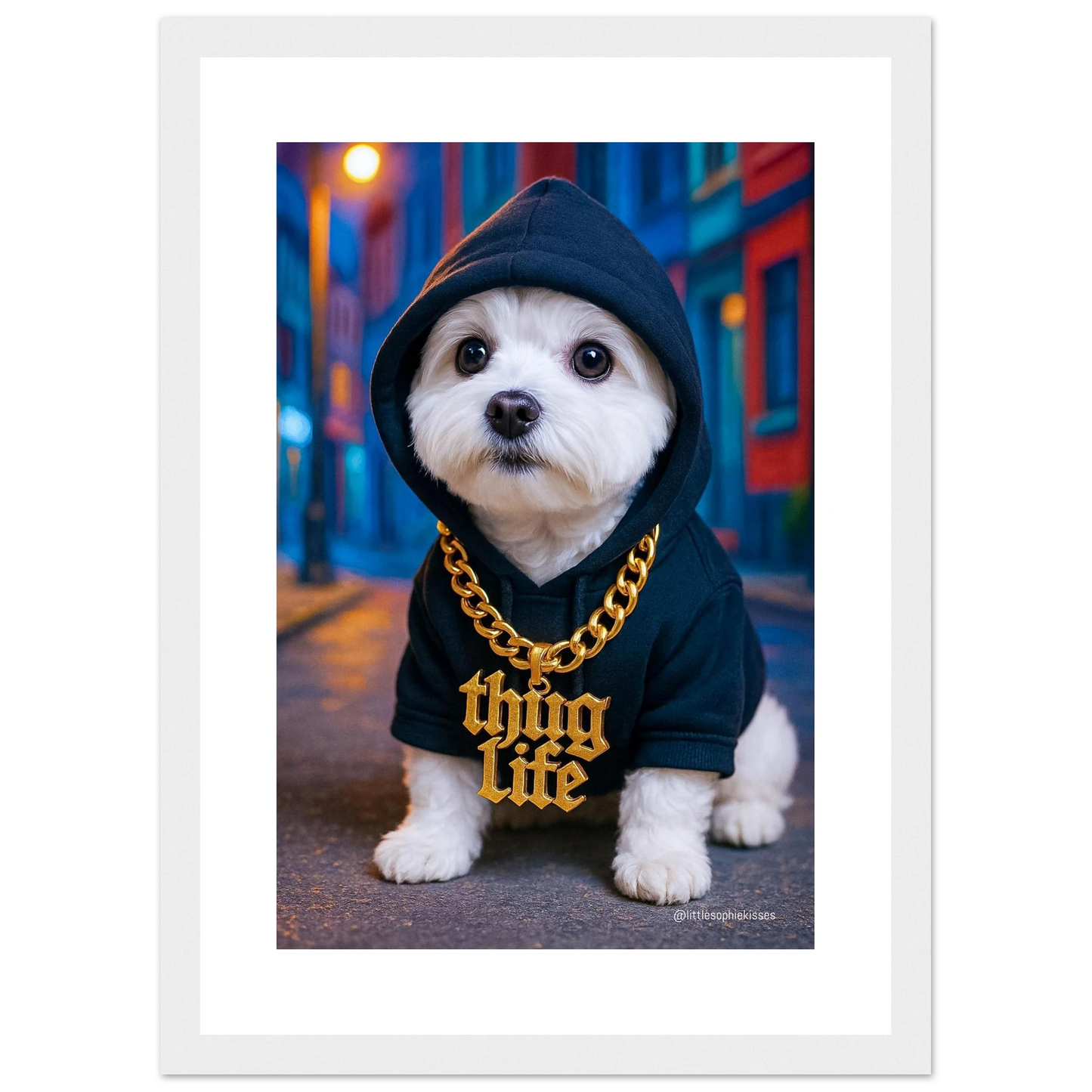 2ea59104-9137-4d62-a0a6-fb410c8d1cf4