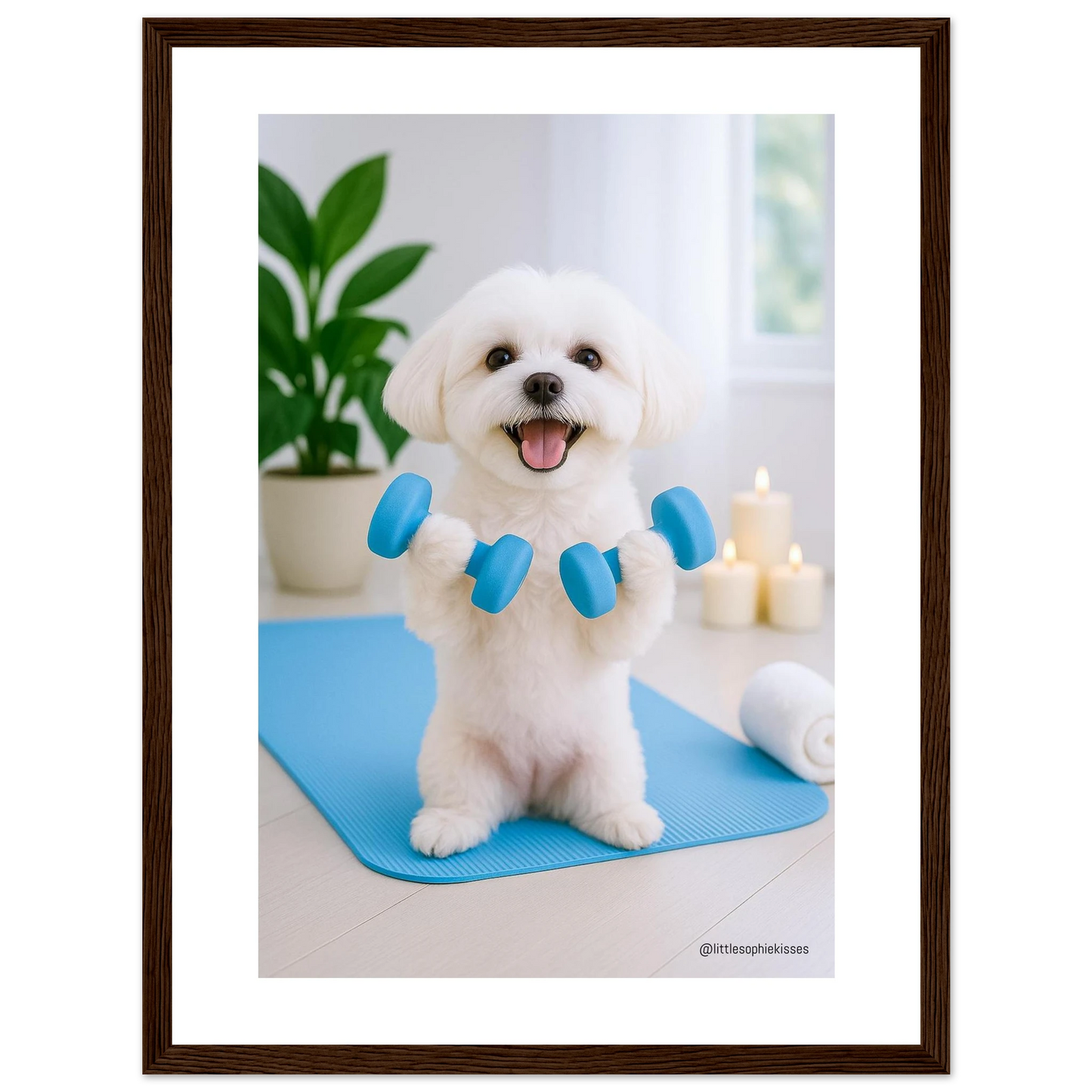 326497c1-43cd-4026-b038-144ca53fab57