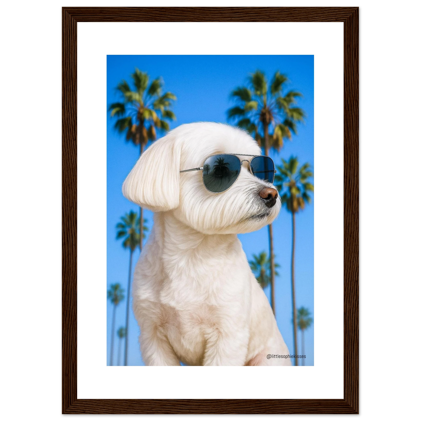 354473e6-27f5-4475-ac5e-76178bca2491