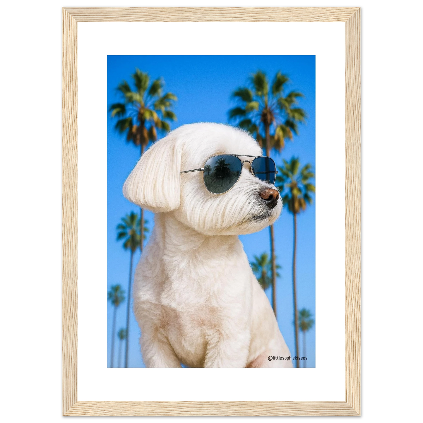 357ad0c7-1be9-463c-ac31-9b4b8d750ce8