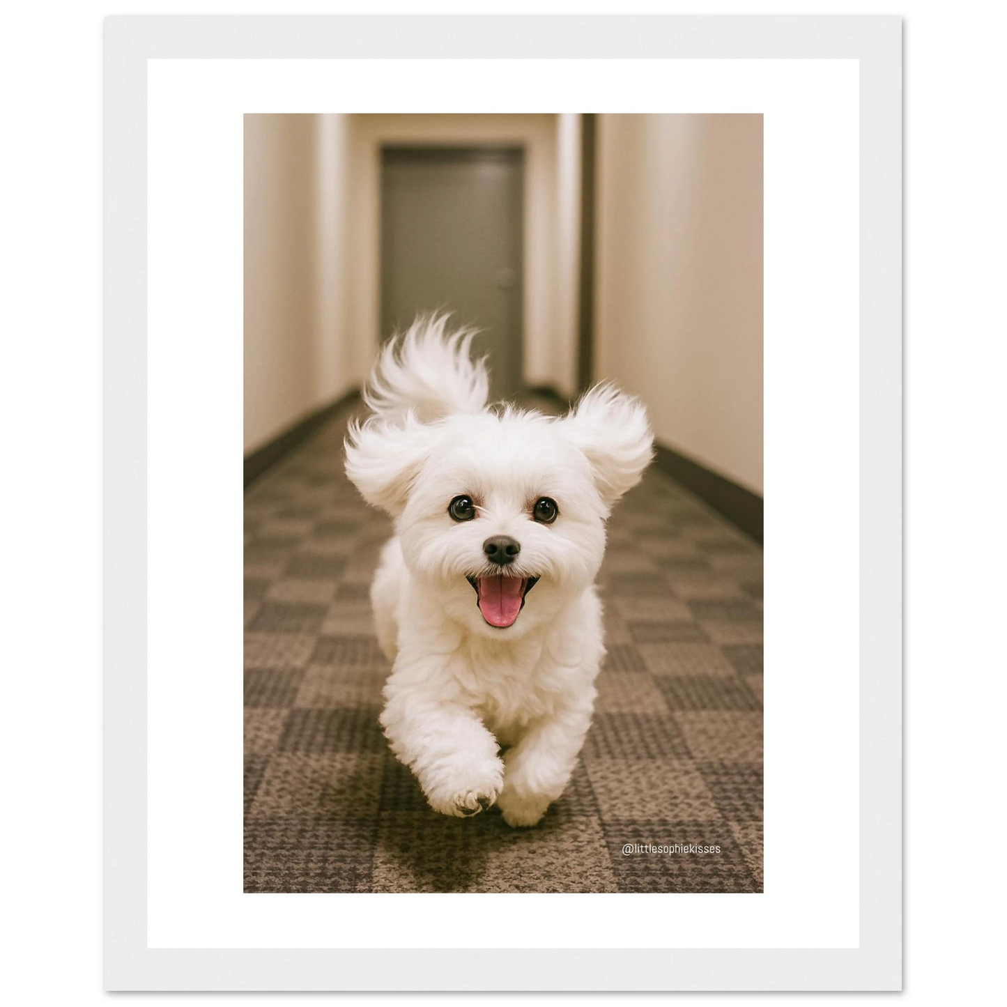 358d2998-5e9a-4462-9fbb-34c0c18b55b4