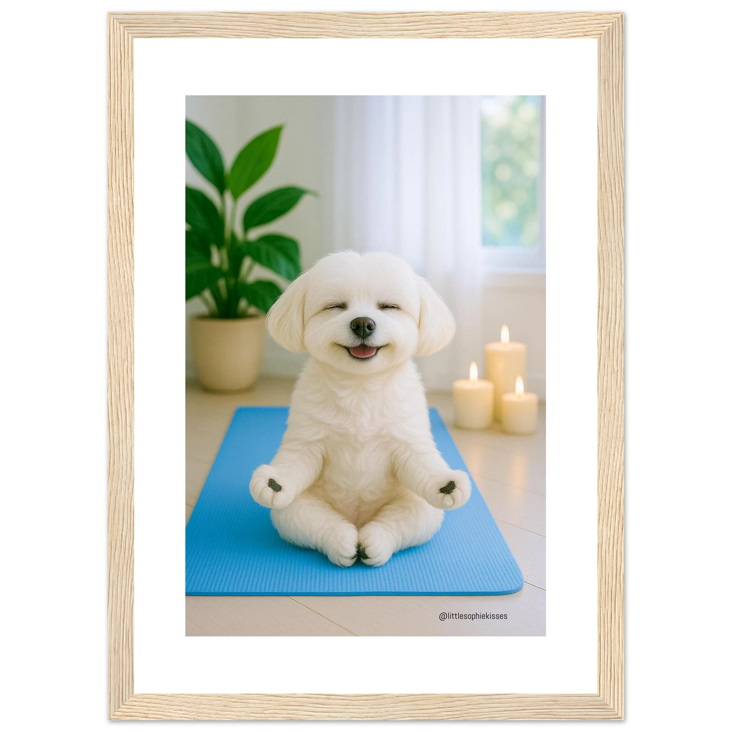 36c3afc3-7eec-4c80-890a-e01c7182c561