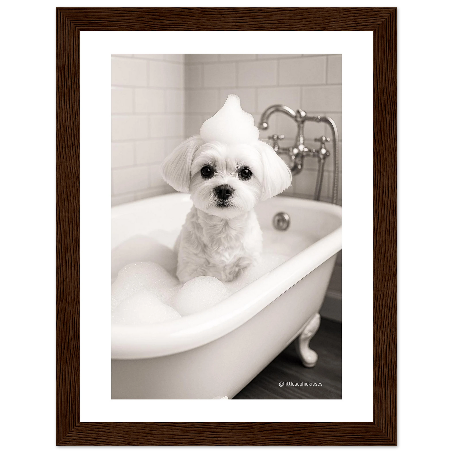 37e9459b-5aa0-4961-8e4a-b17c6211f109