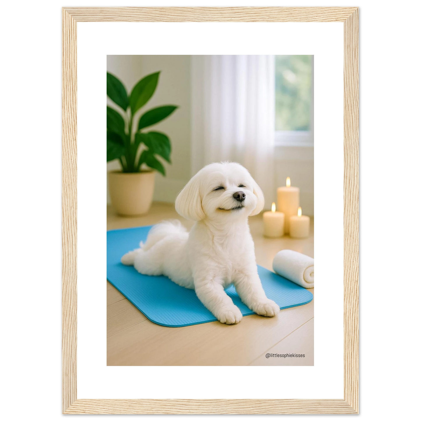 3a84af2d-03ca-4031-8b1c-6cbfab5f9723