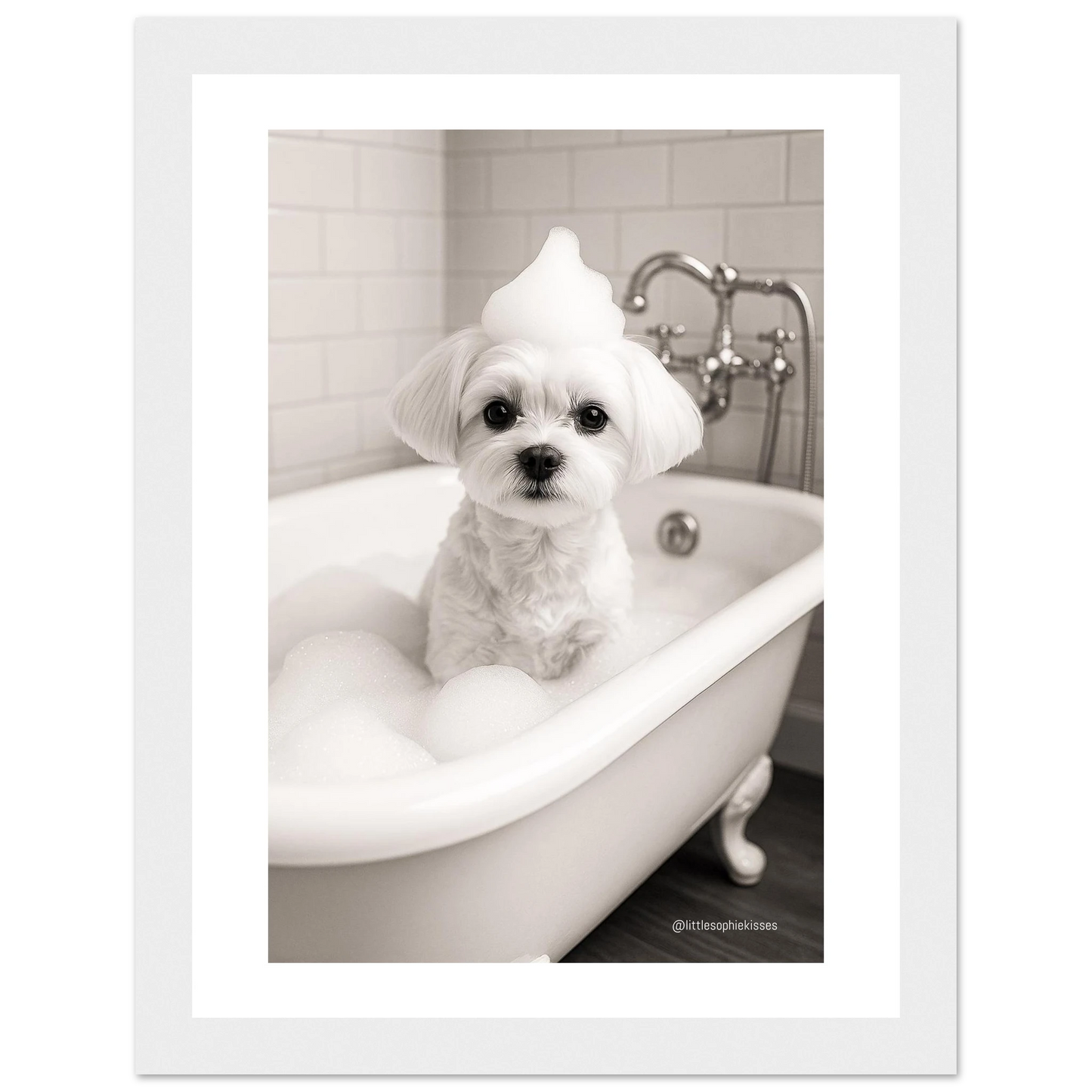 3aaa7433-a7b7-4802-b2b6-9fef41b1b4d8