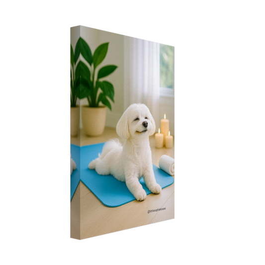 3d496eae-77e8-4d8c-9460-9259d340ae6e