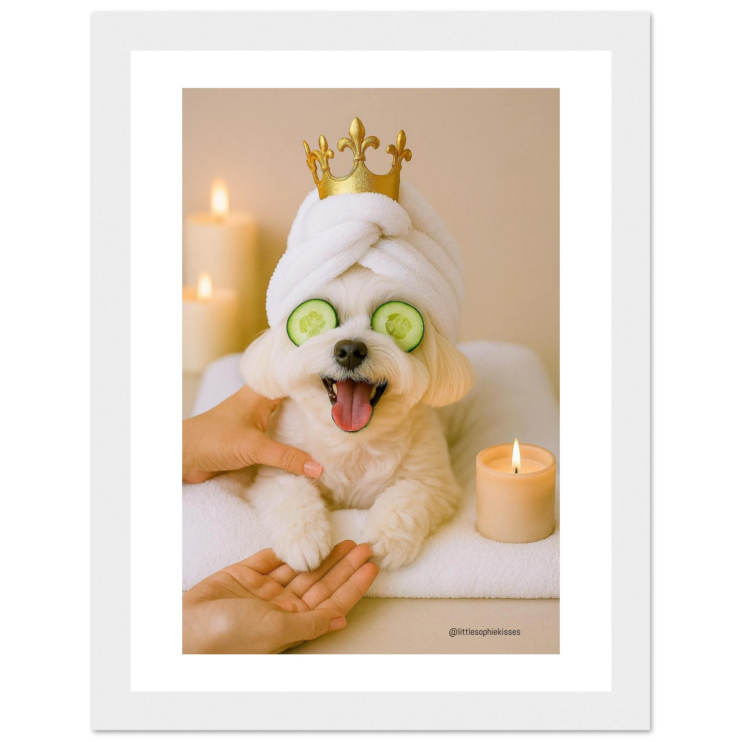 406bca96-aa48-43d5-afd8-083cf1adb7f6