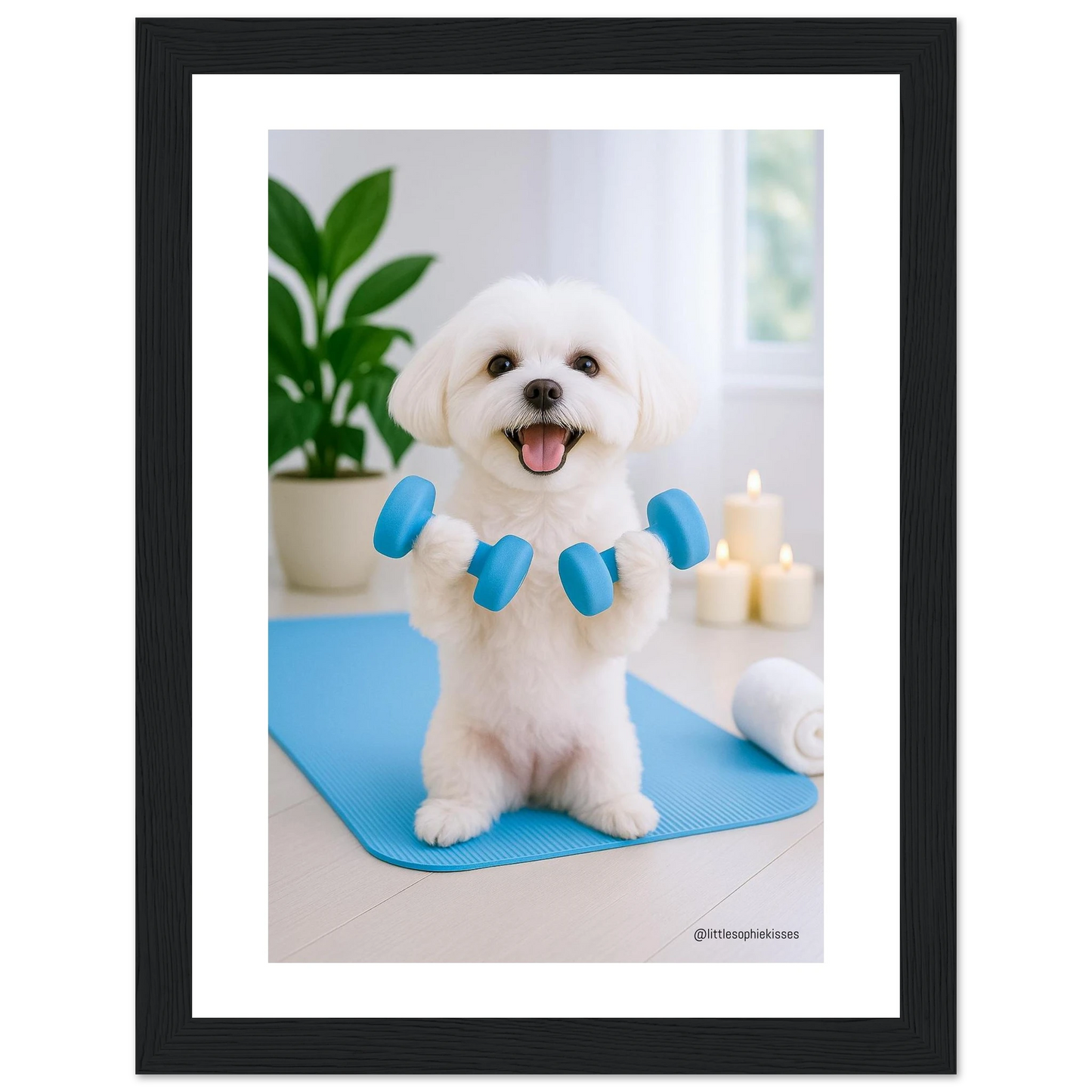 43675c93-42da-4ae4-a09e-9565e40b423a