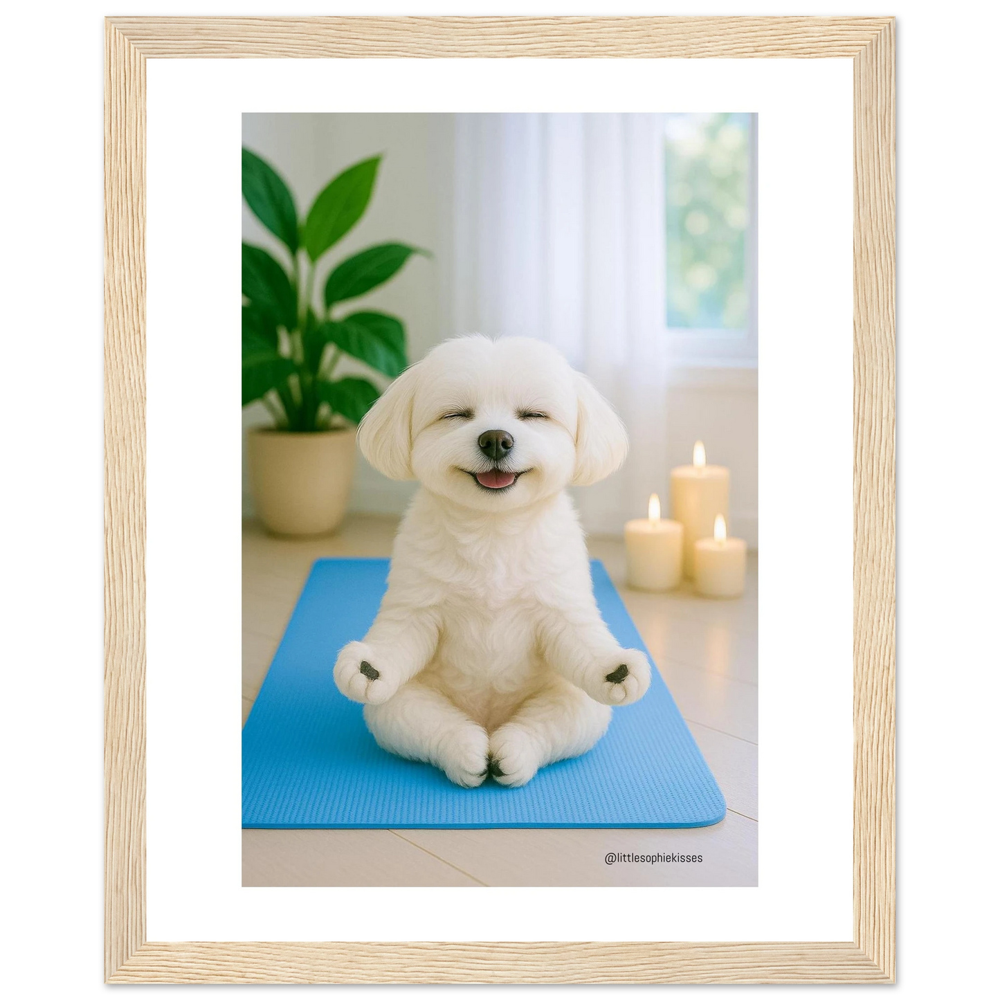 43ae4ffb-c8b0-44f1-ae75-264447e8a8d9