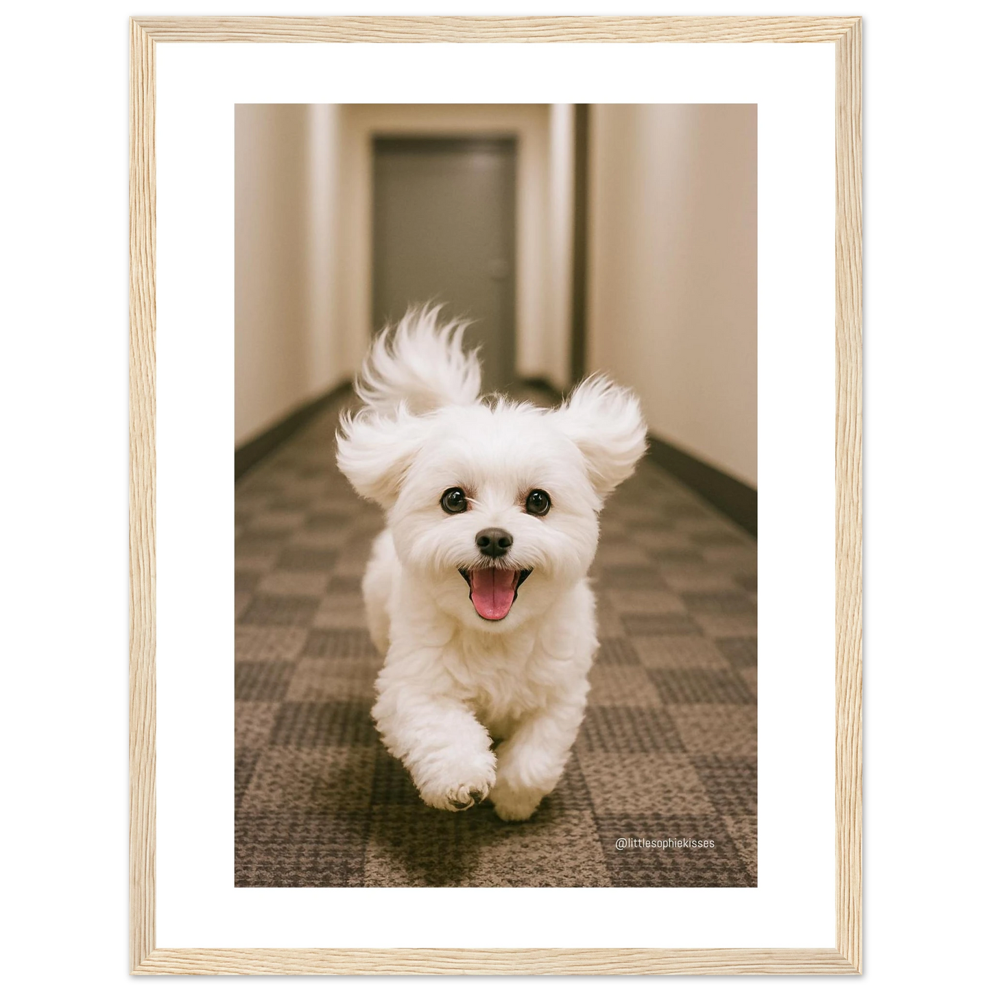 43b3e4f9-0ce8-4a42-aabf-63cd6c96addf