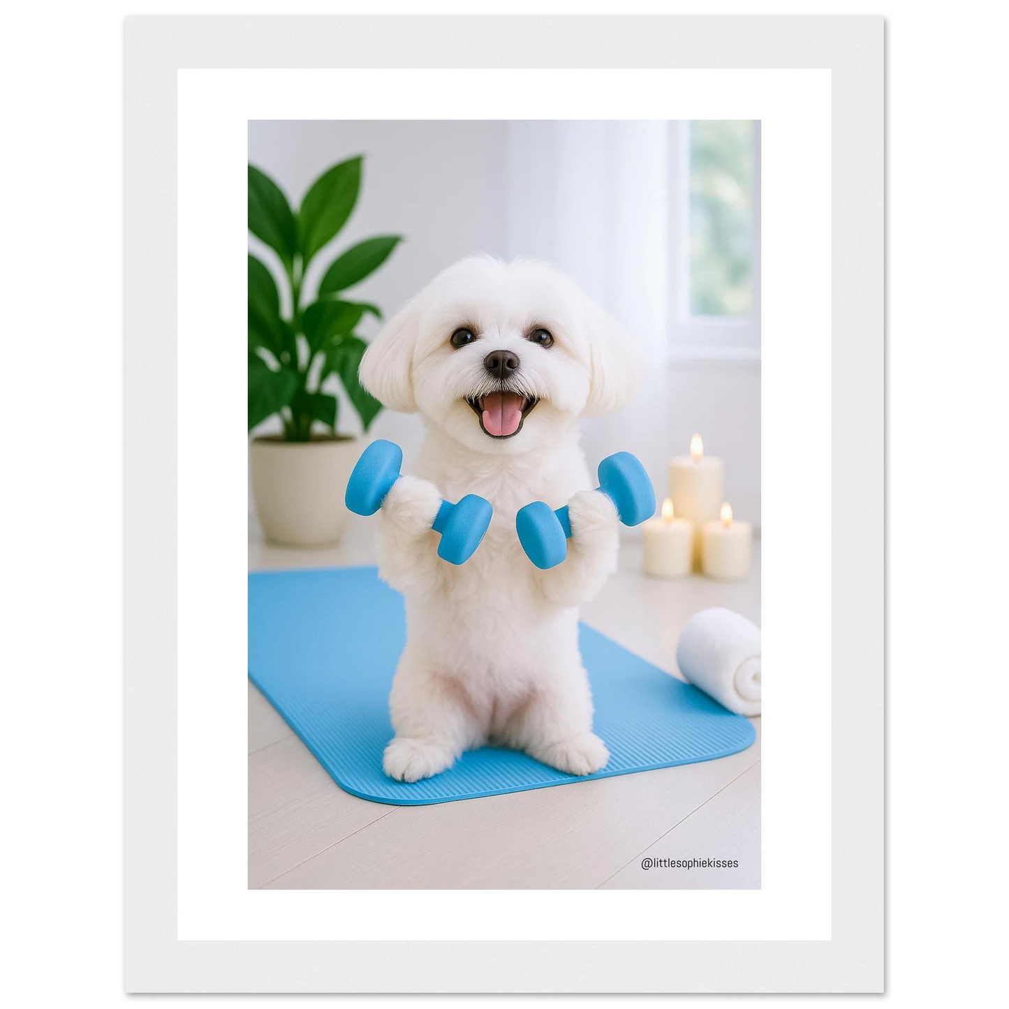 4617a461-9c11-4455-a873-db5f6aeb16d4