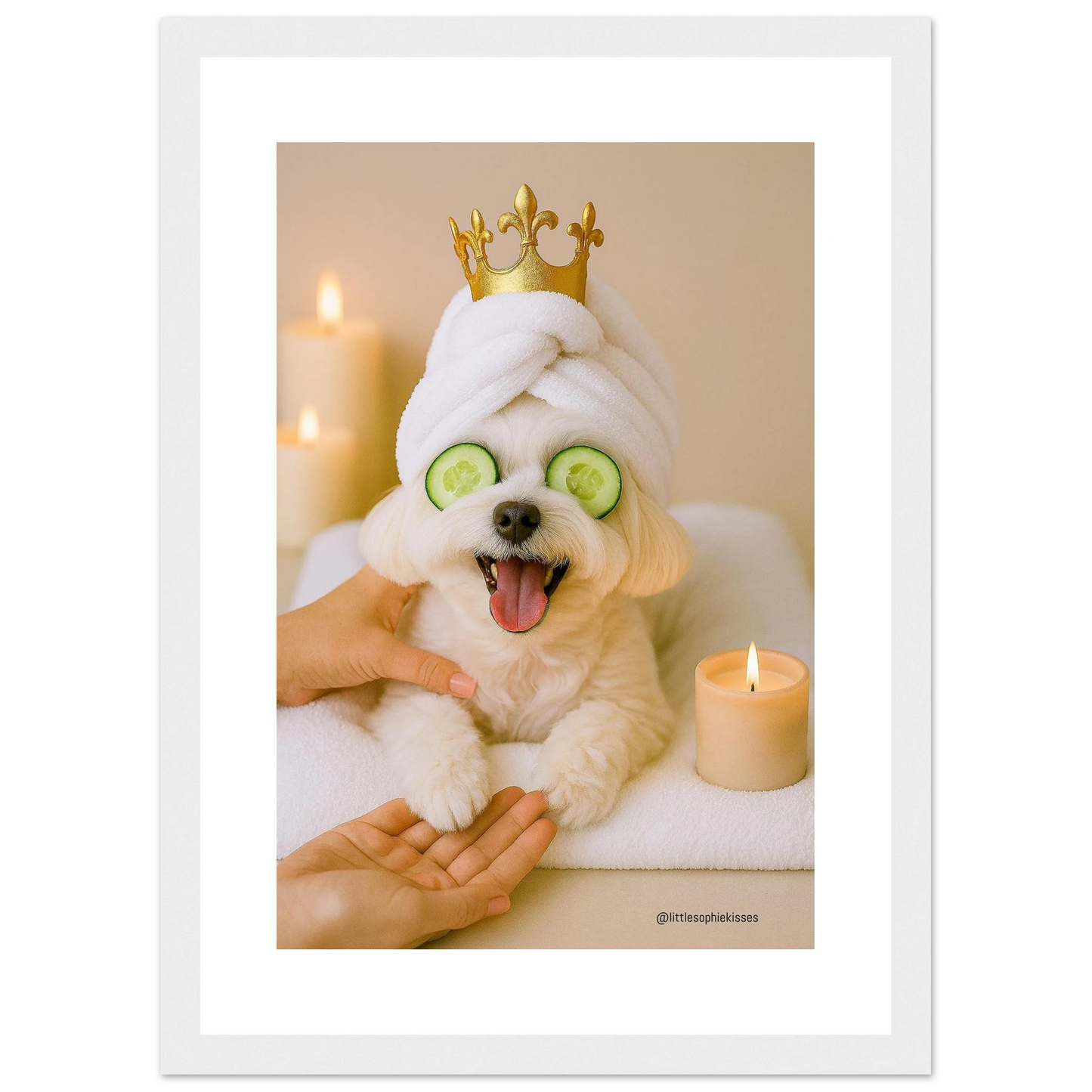 47e2b54e-4f1f-40d6-a0cb-250d43e29741