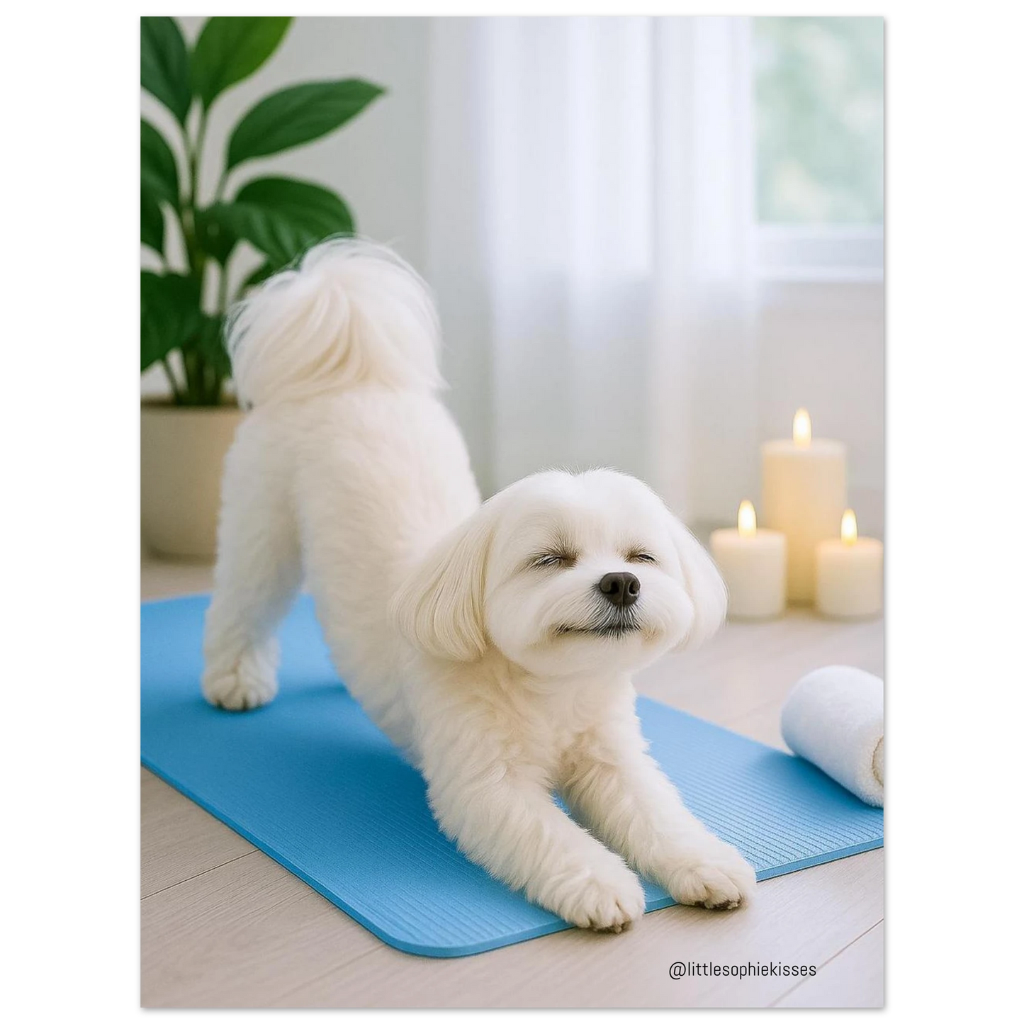 485def3a-59ca-4c40-8c45-1b85c9ec776b